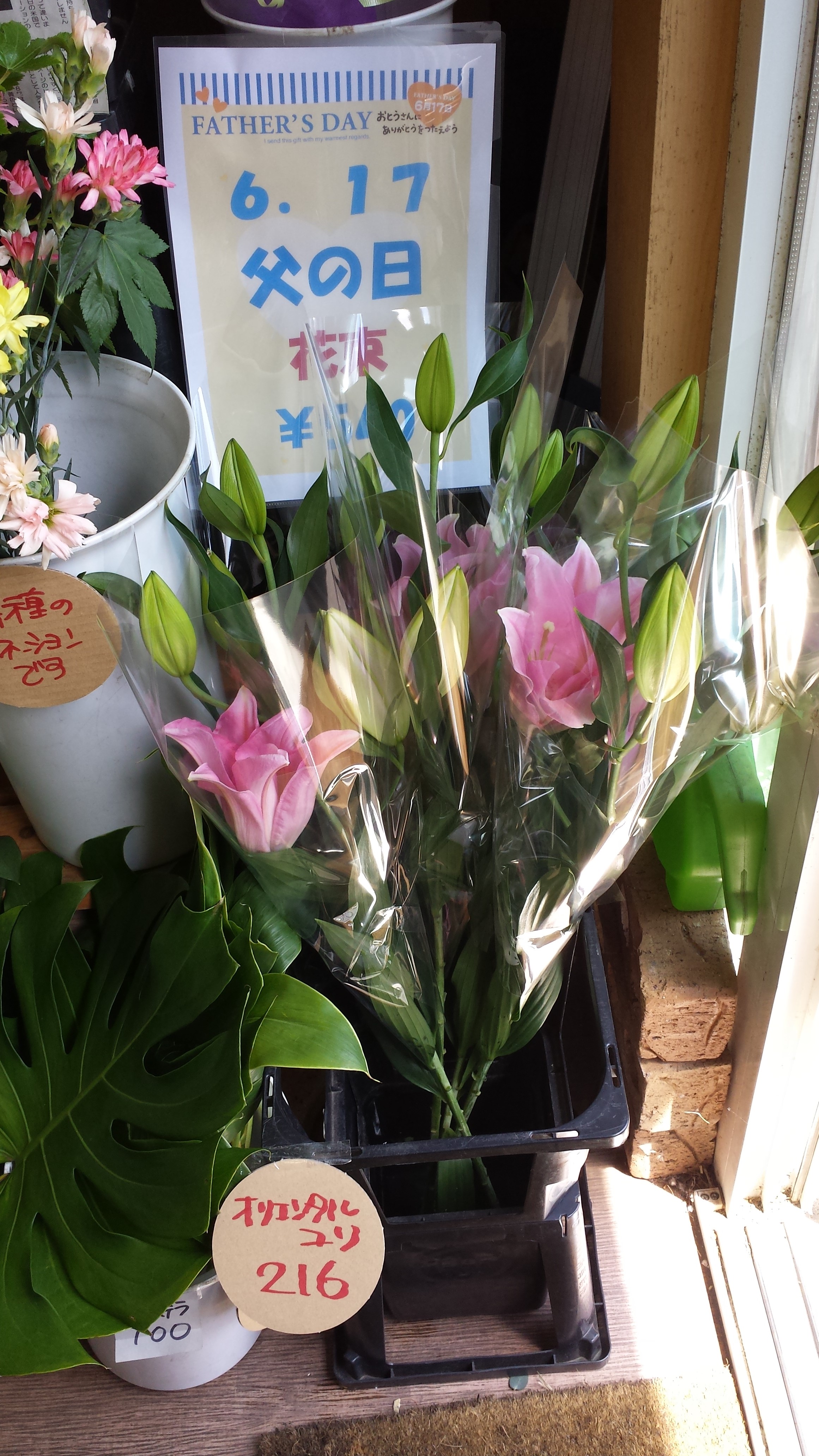 アップロードファイル 684-1.jpg