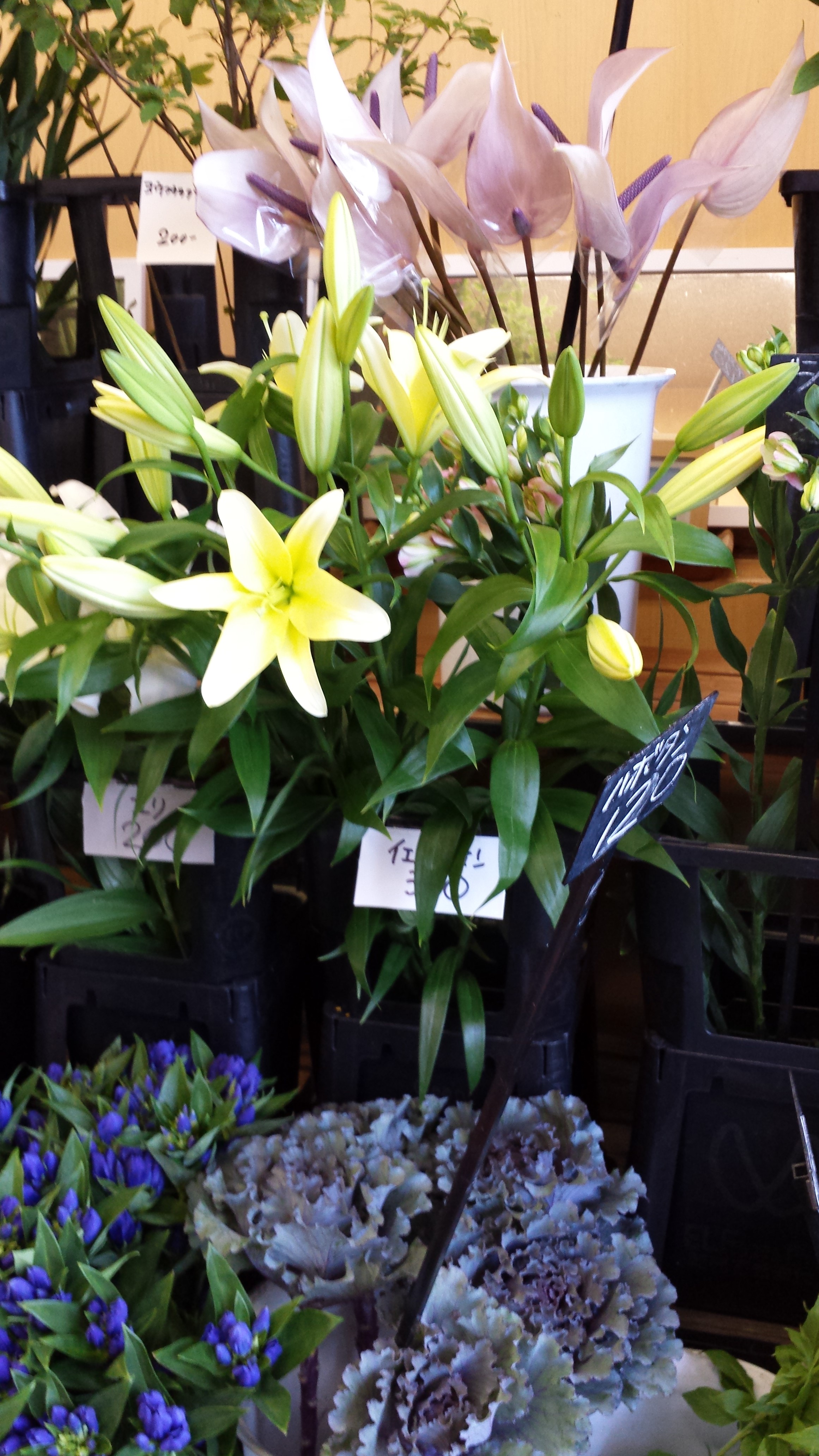 アップロードファイル 693-1.jpg