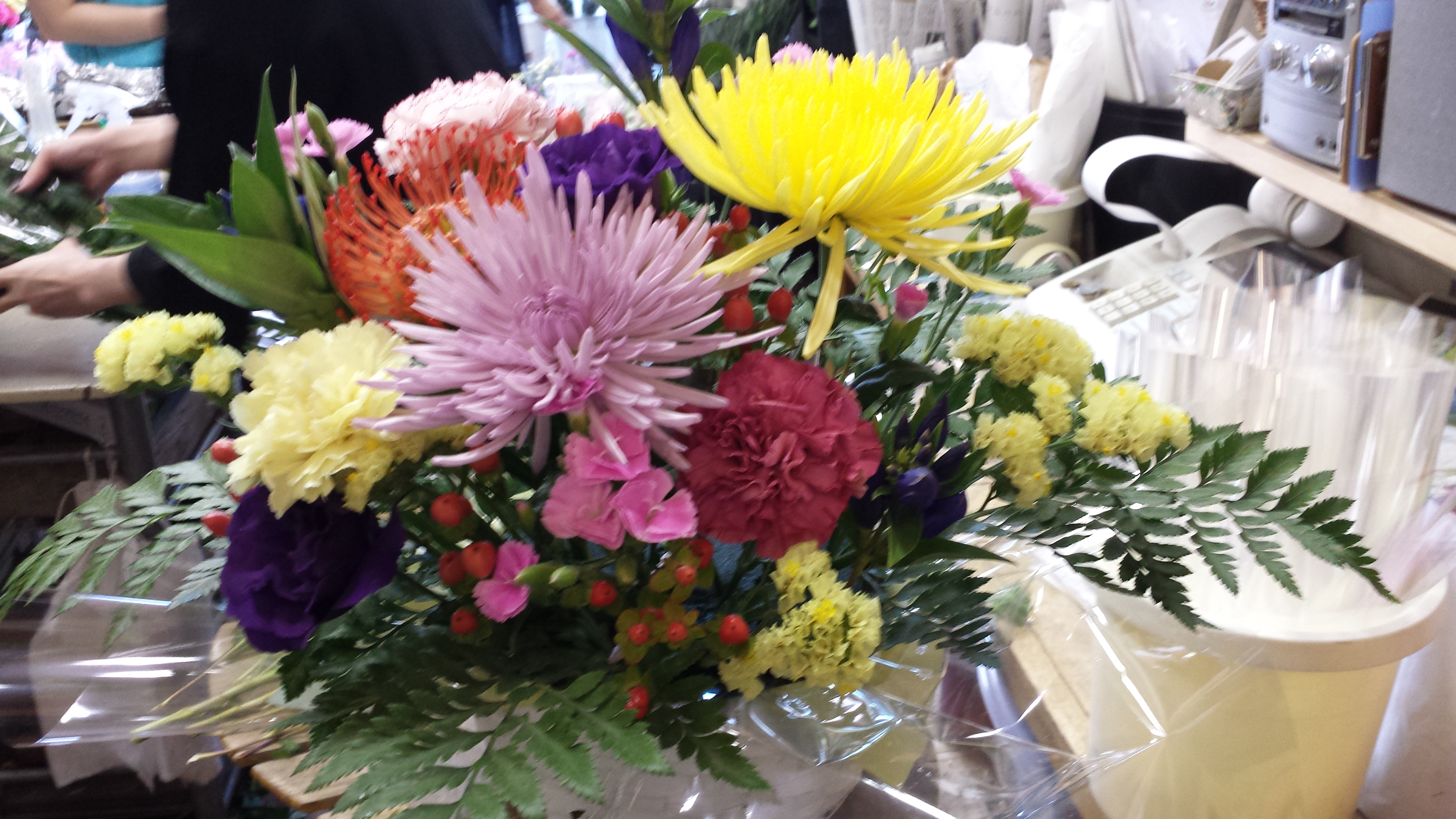 アップロードファイル 695-1.jpg