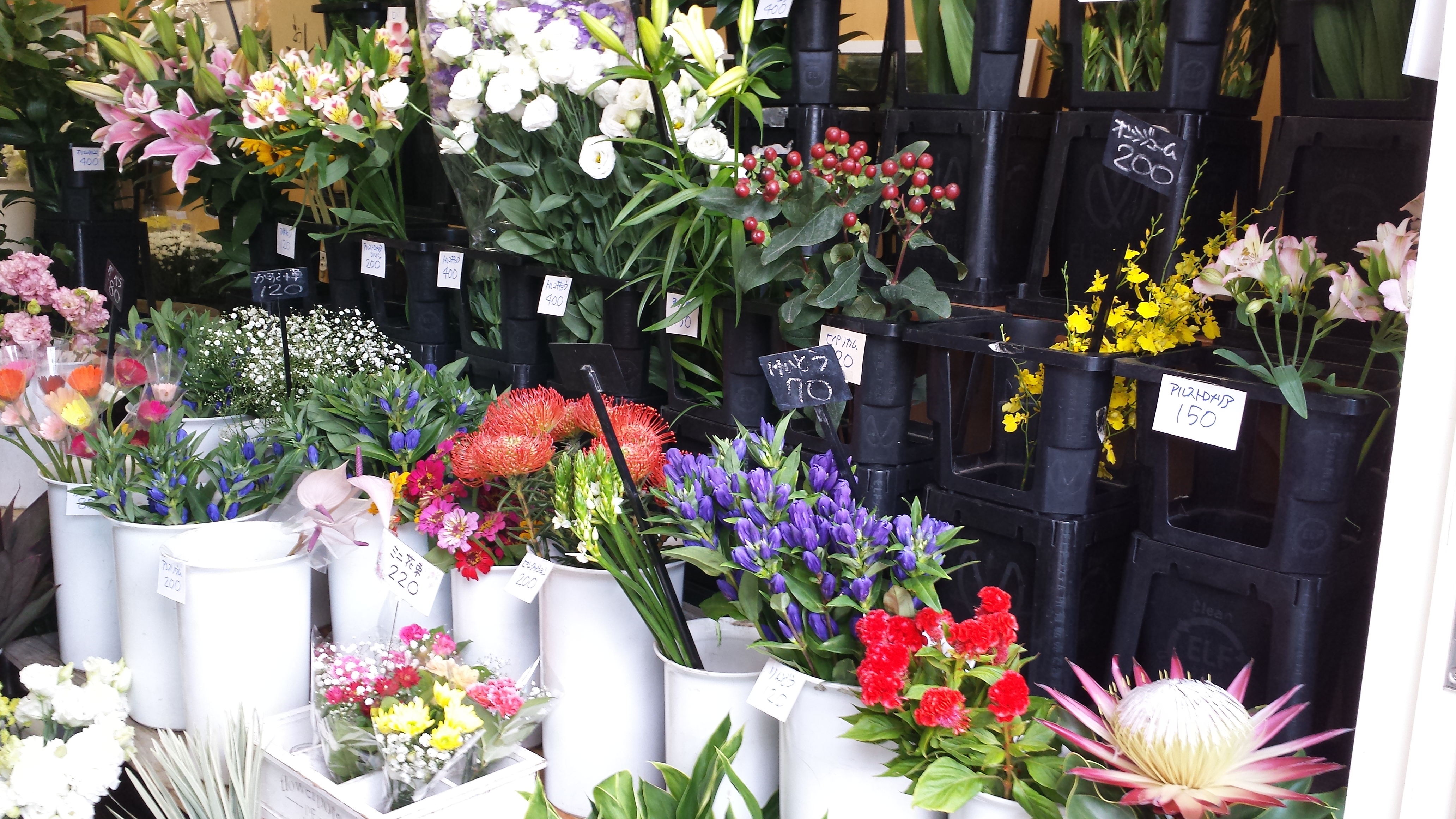 アップロードファイル 696-2.jpg