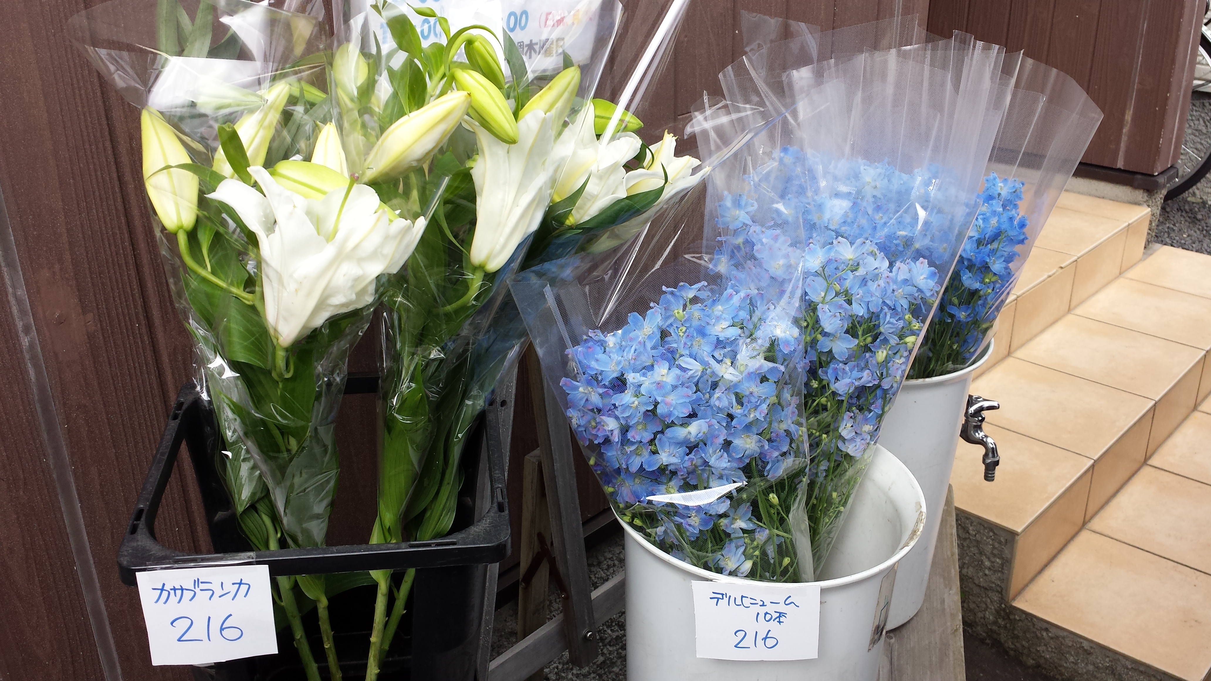 アップロードファイル 701-1.jpg