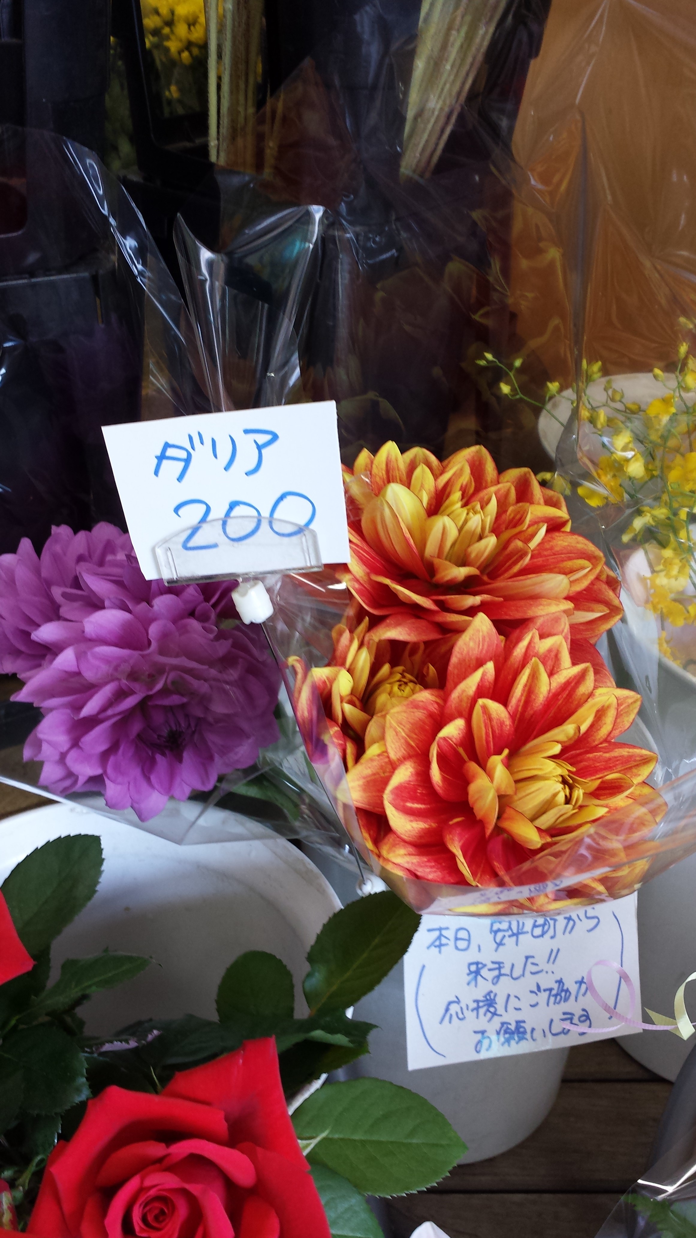 アップロードファイル 704-1.jpg