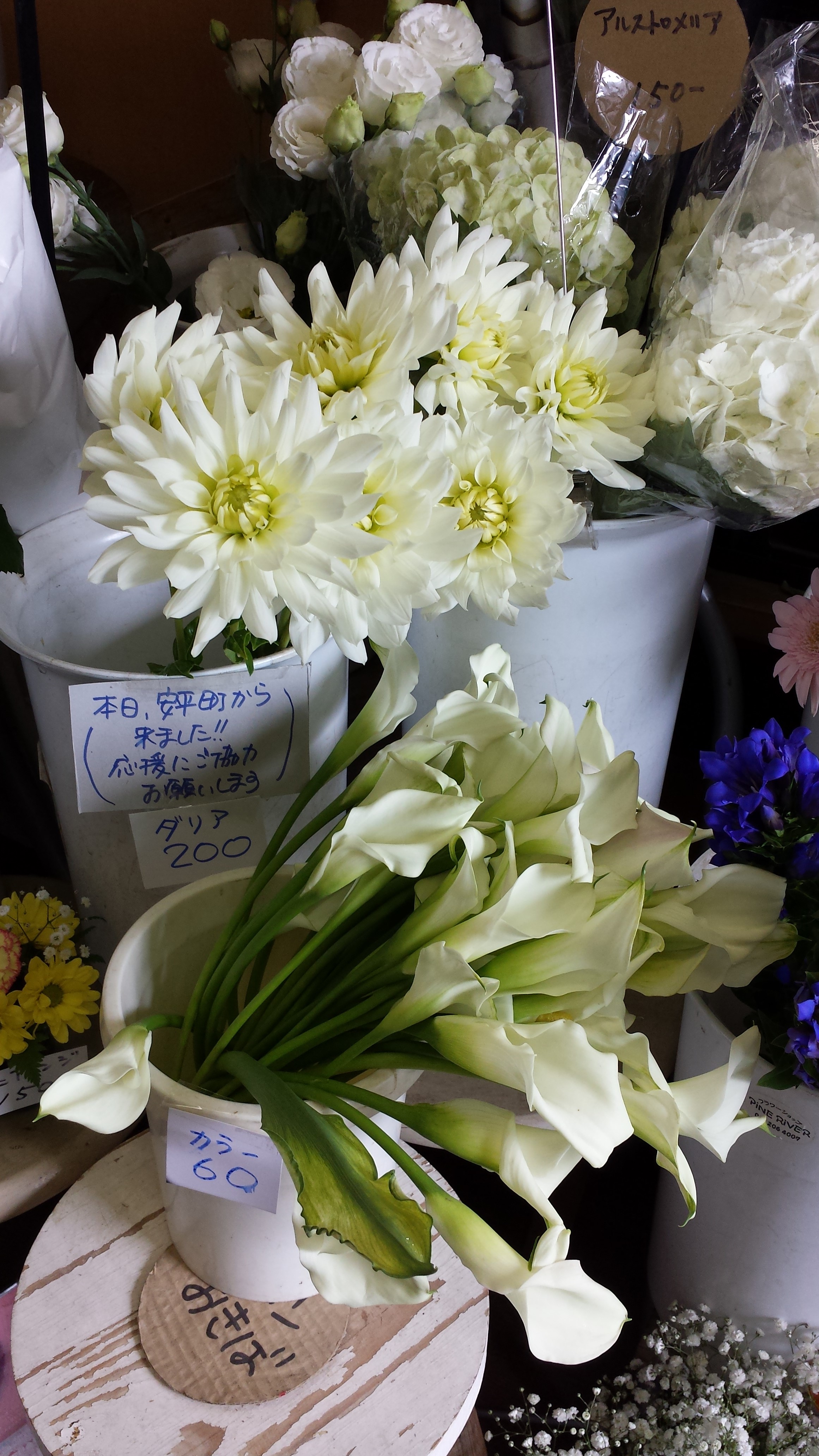 アップロードファイル 705-1.jpg