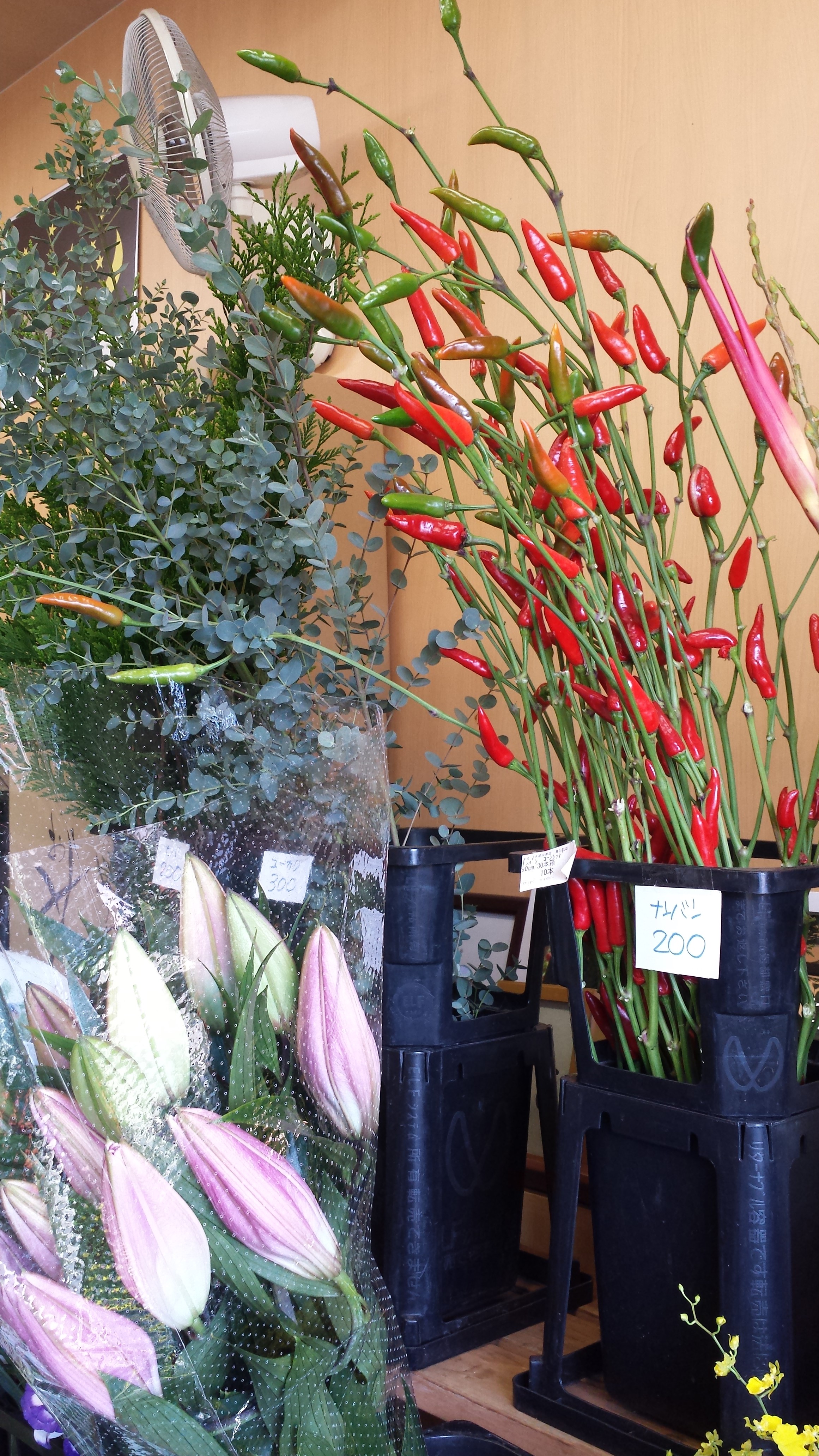 アップロードファイル 710-2.jpg