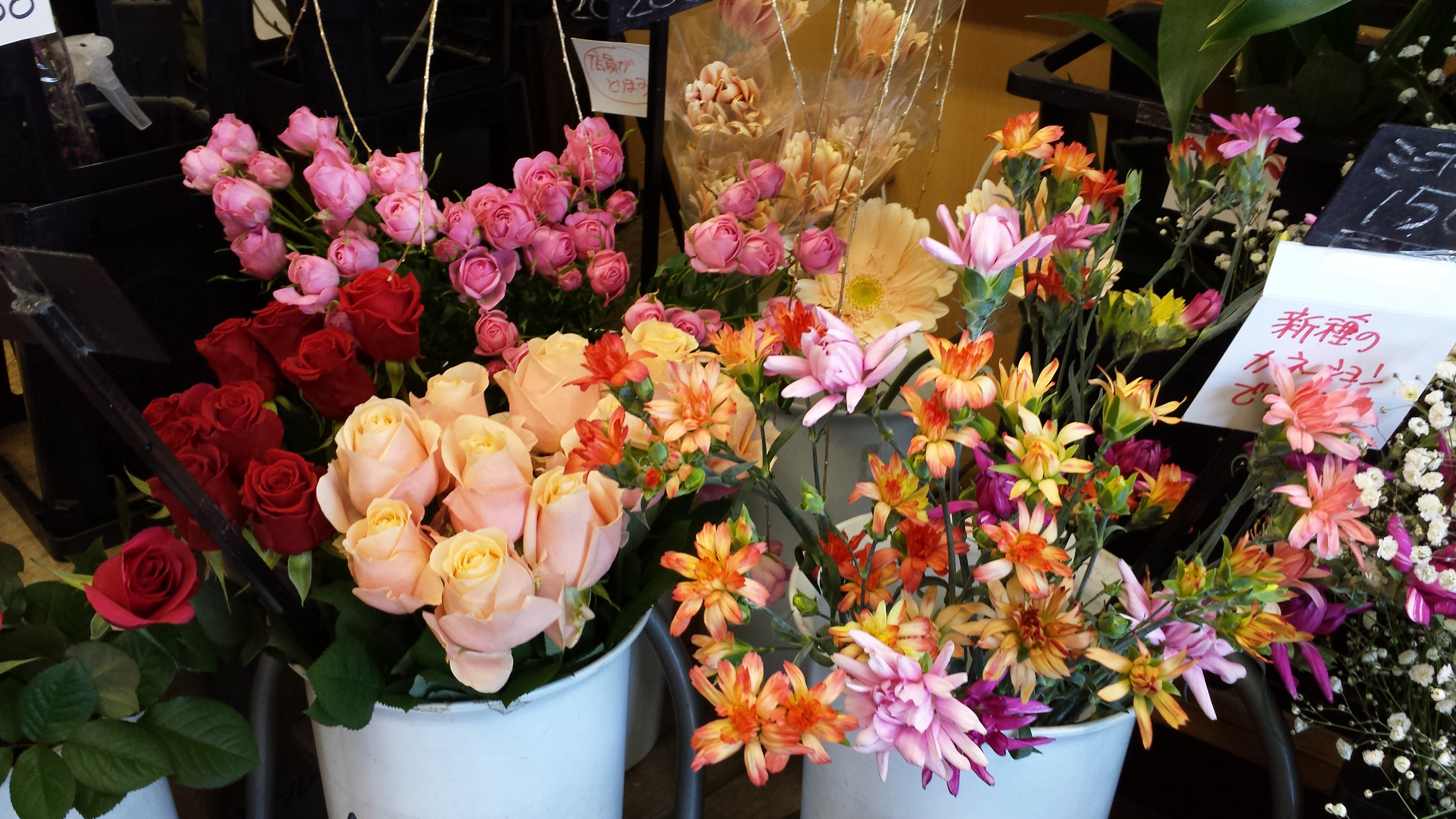 アップロードファイル 728-2.jpg