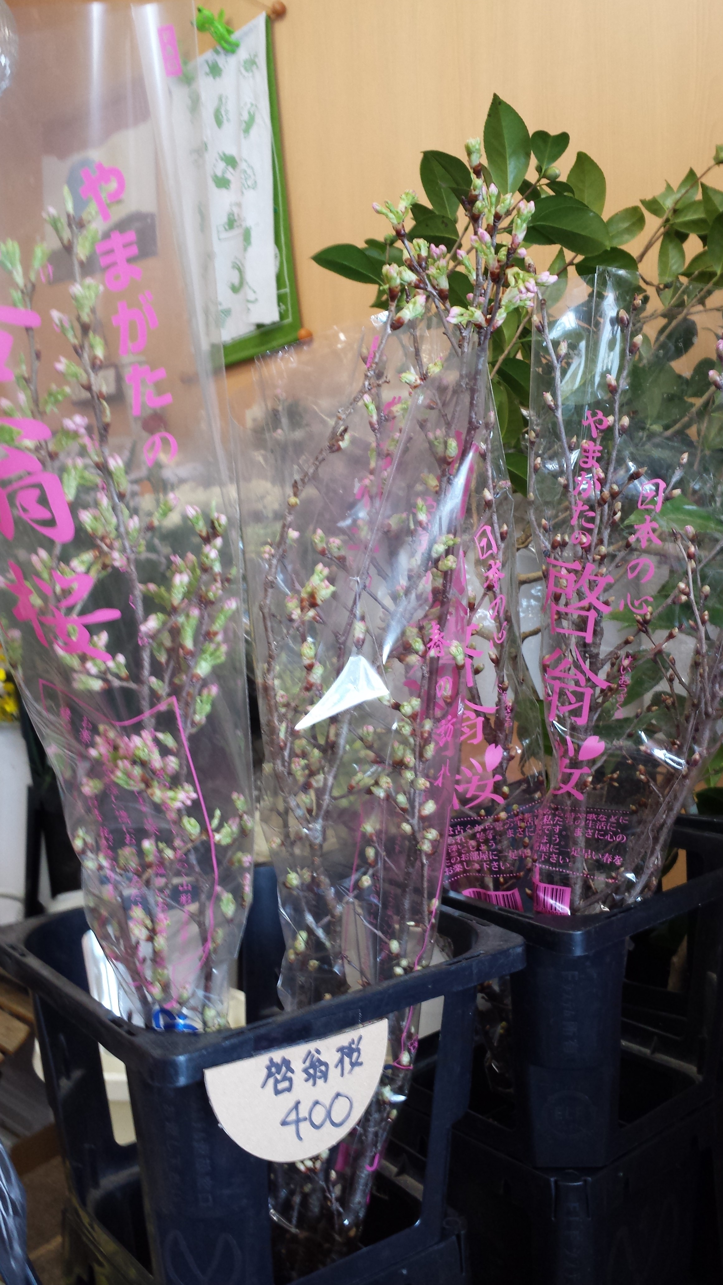 アップロードファイル 731-1.jpg