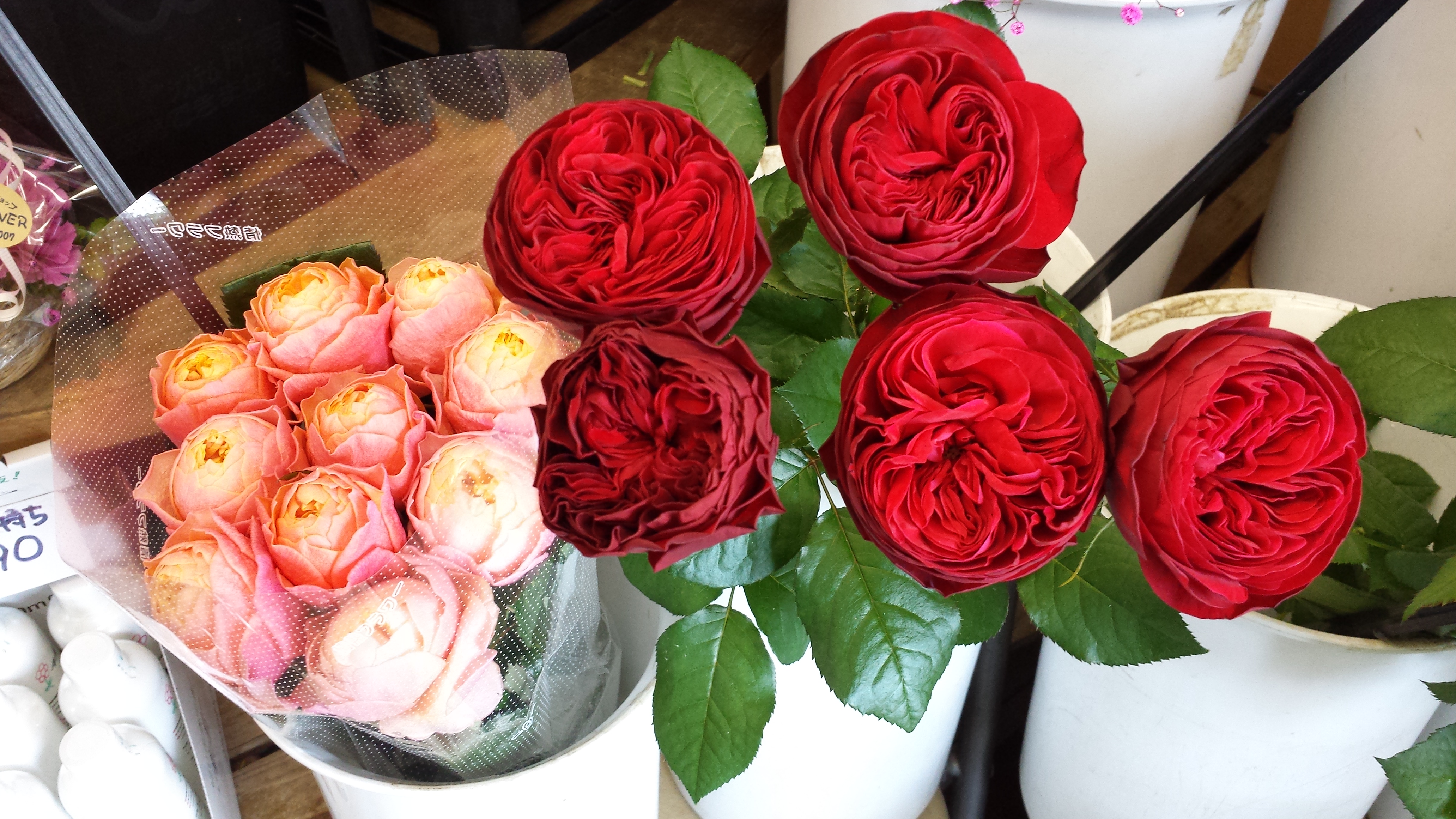 アップロードファイル 731-2.jpg