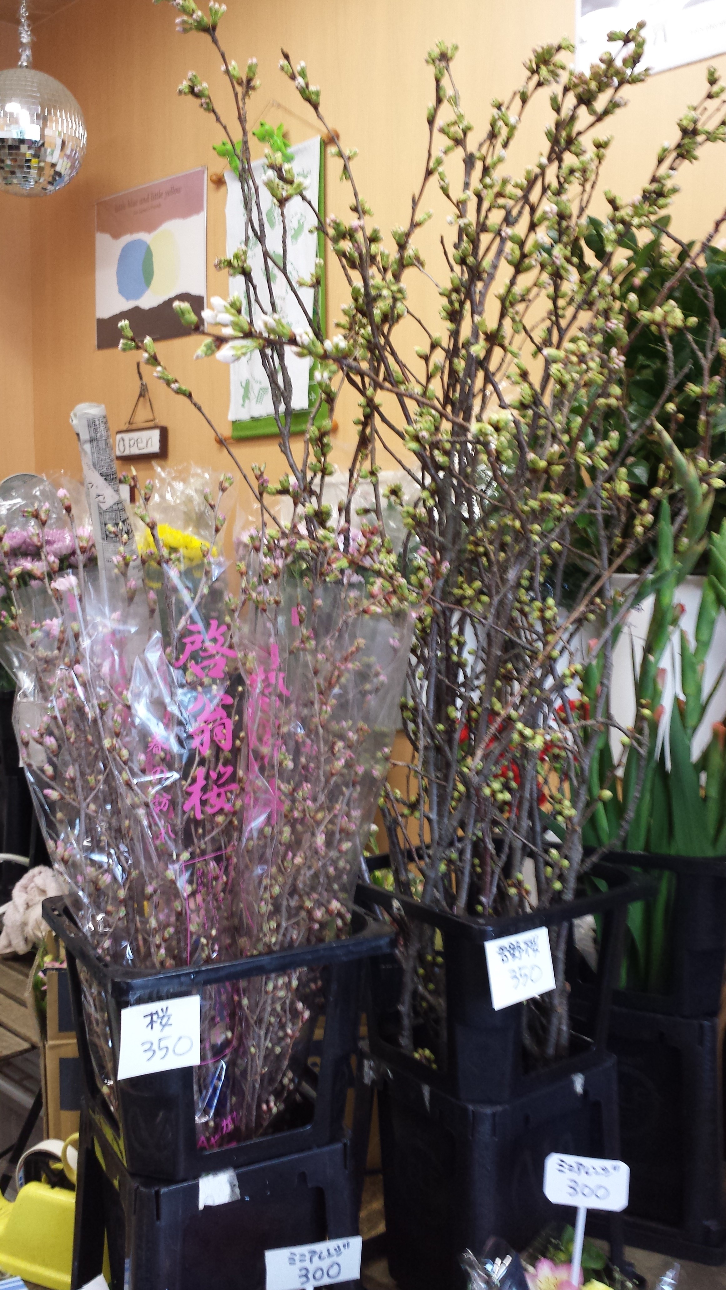 アップロードファイル 738-1.jpg