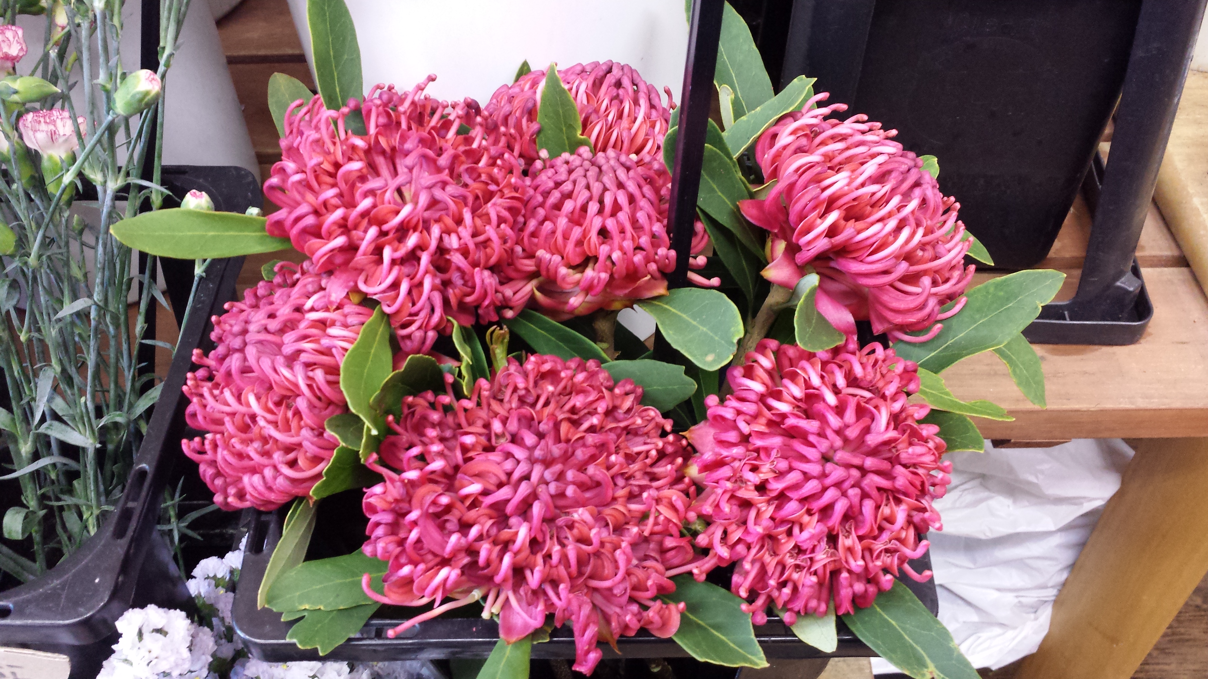 アップロードファイル 741-1.jpg