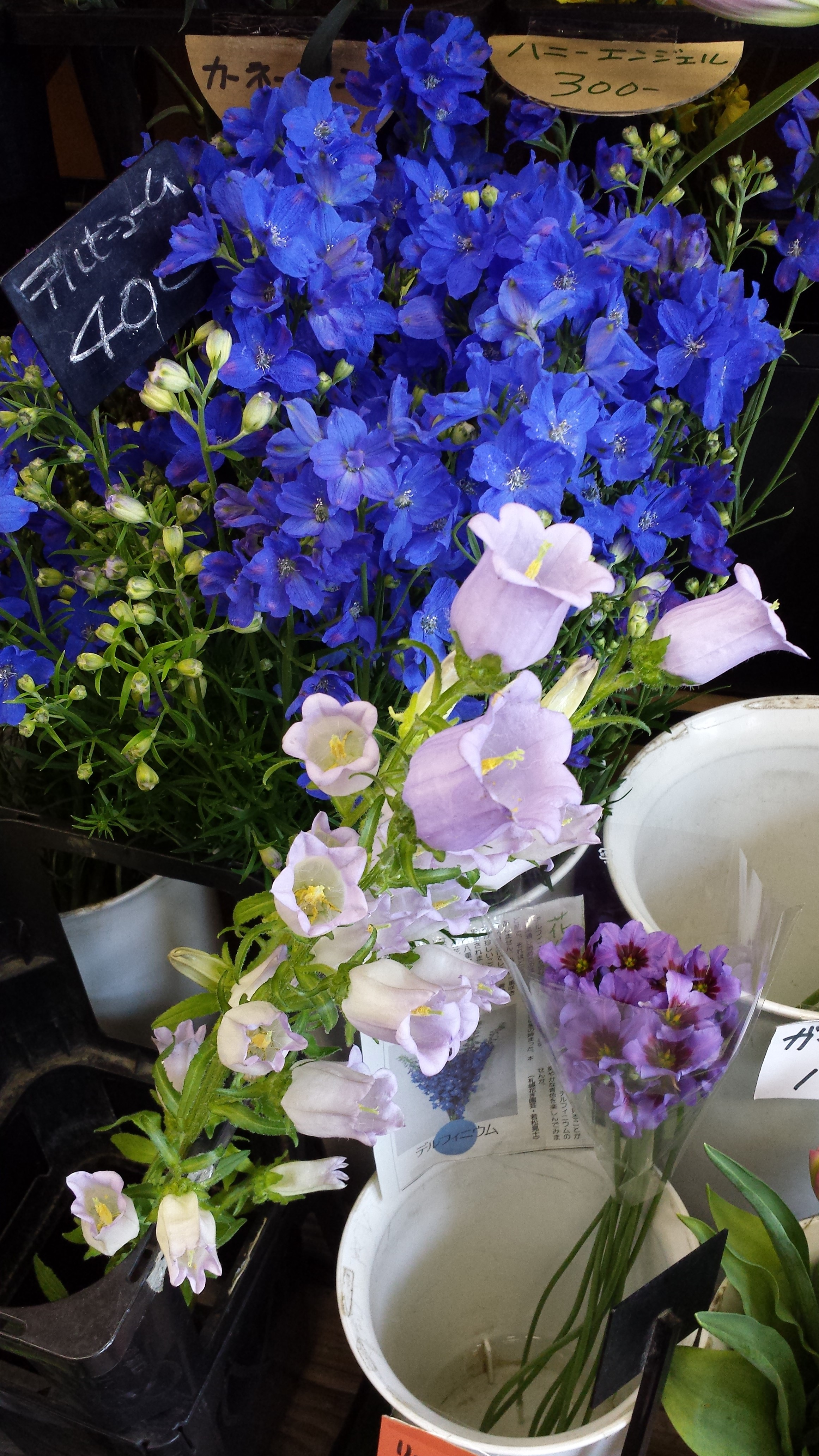 アップロードファイル 741-2.jpg