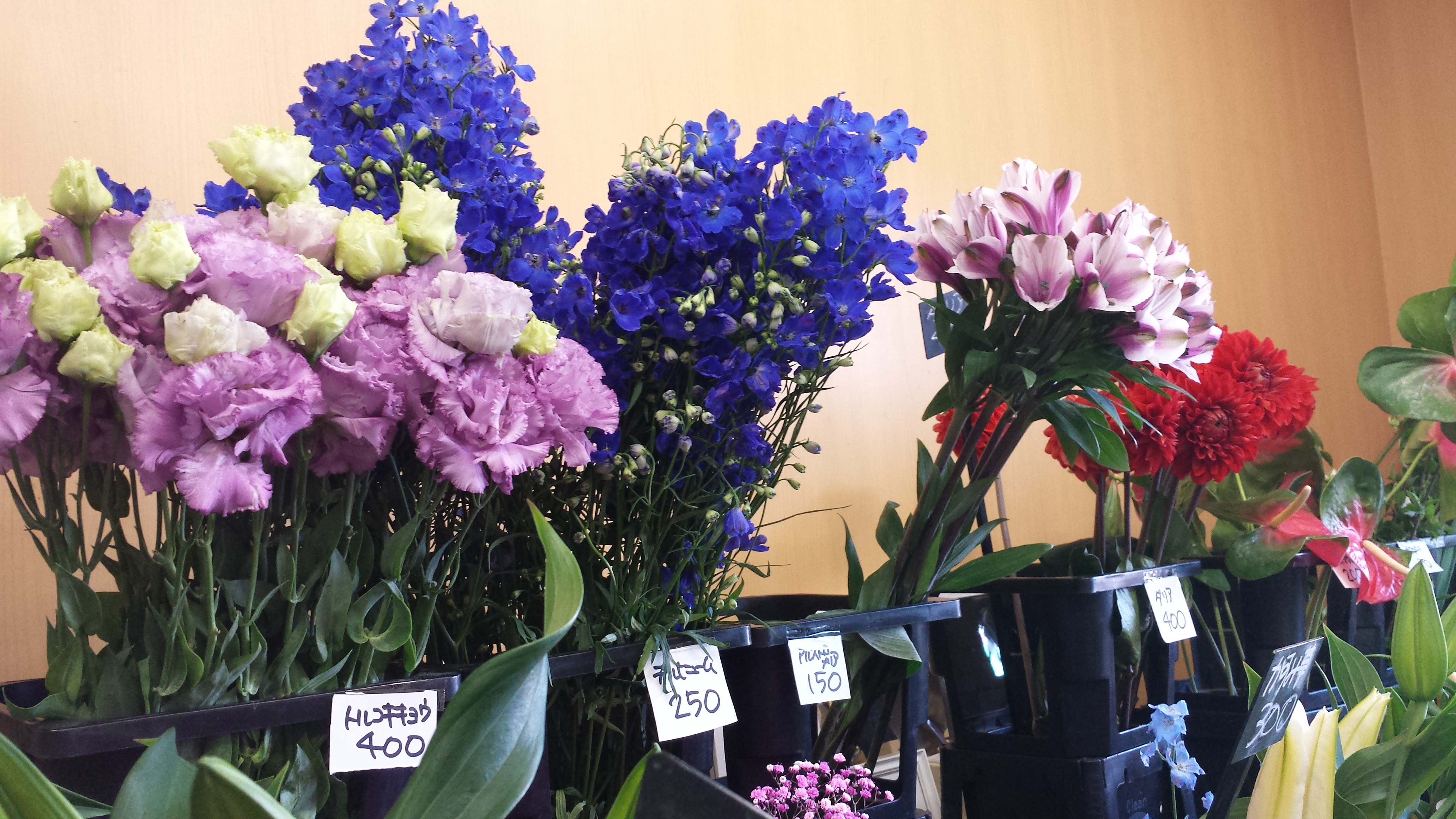 アップロードファイル 744-1.jpg