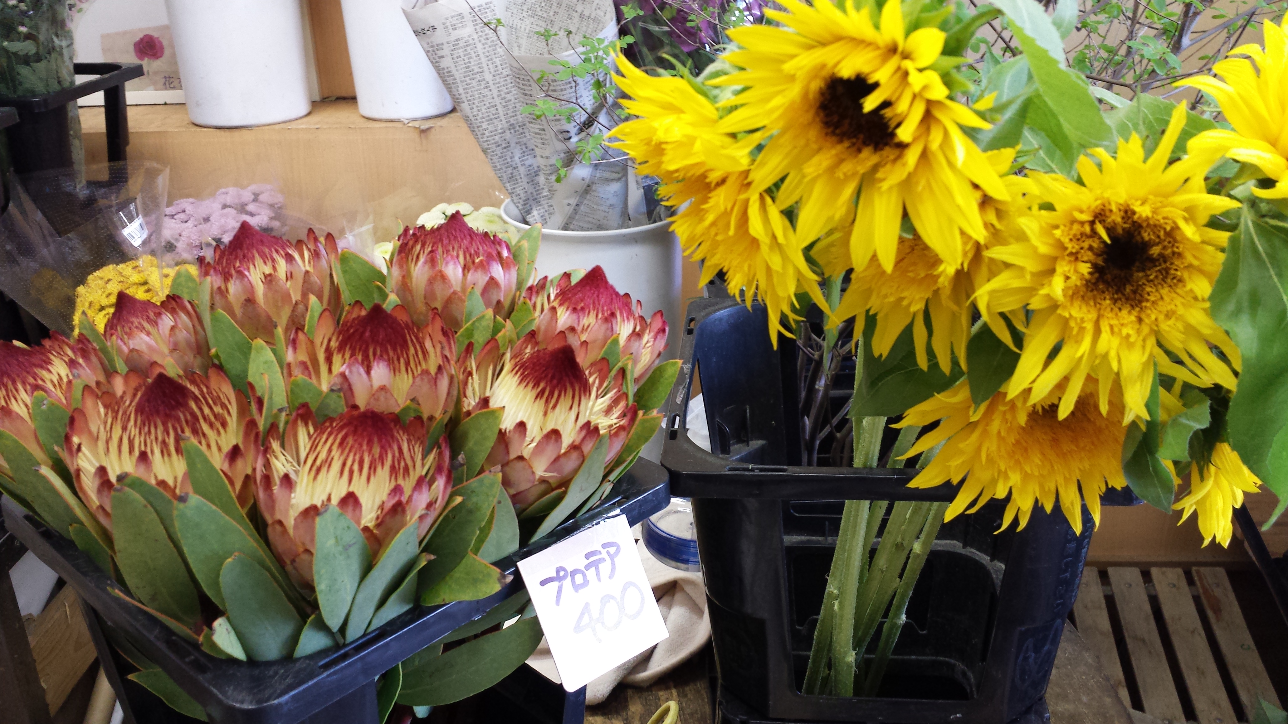 アップロードファイル 746-1.jpg