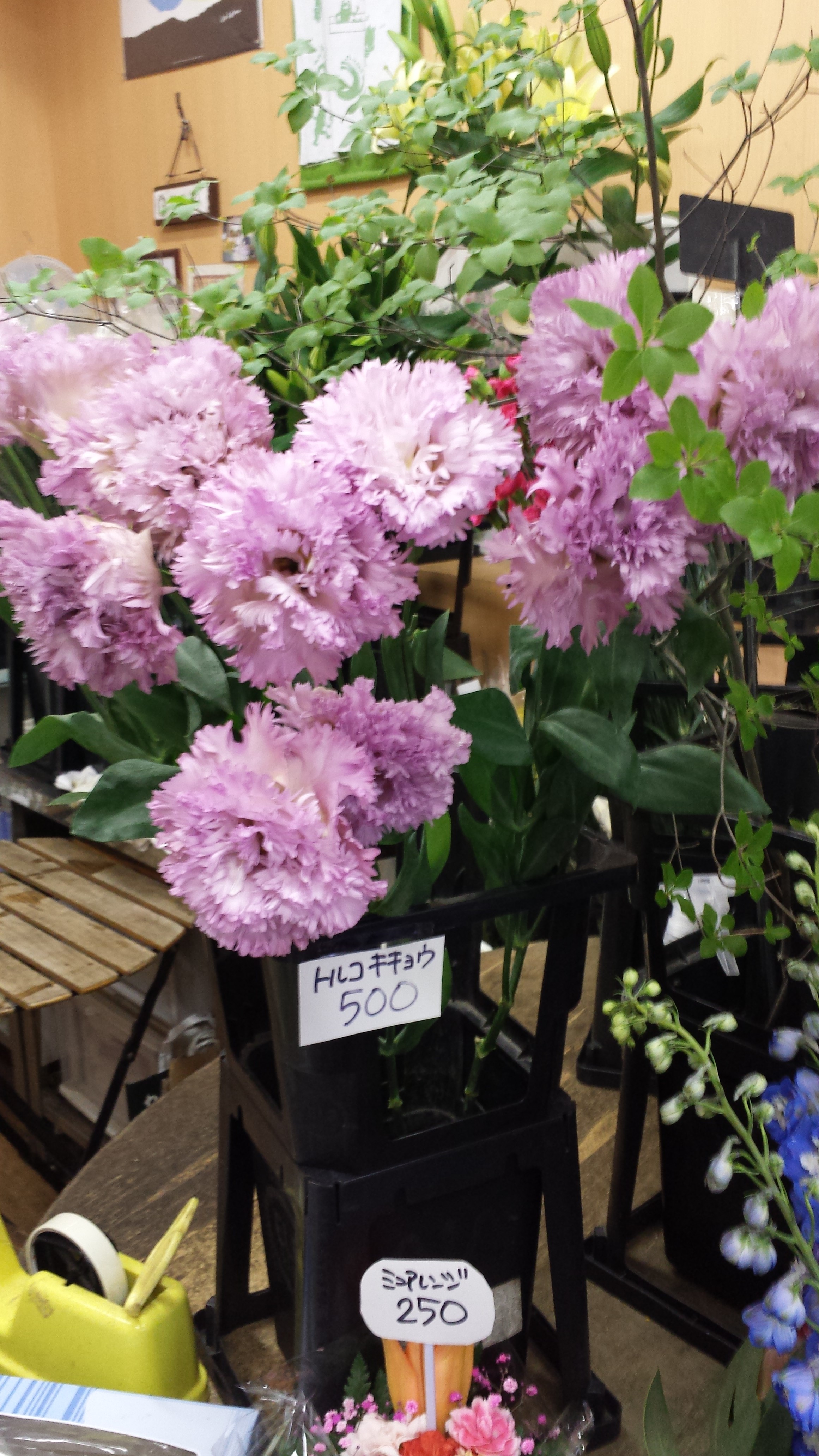 アップロードファイル 749-1.jpg