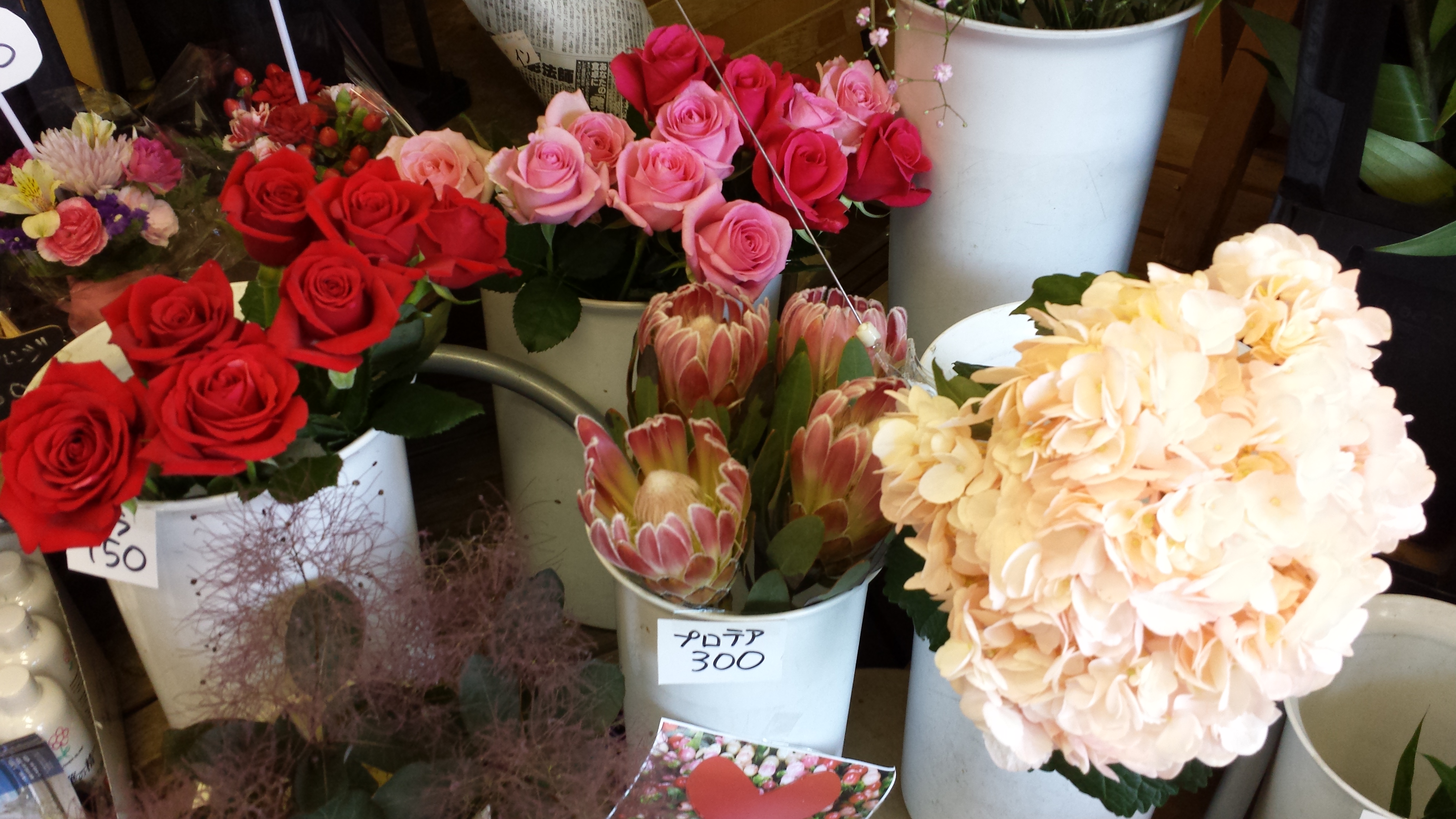 アップロードファイル 754-1.jpg