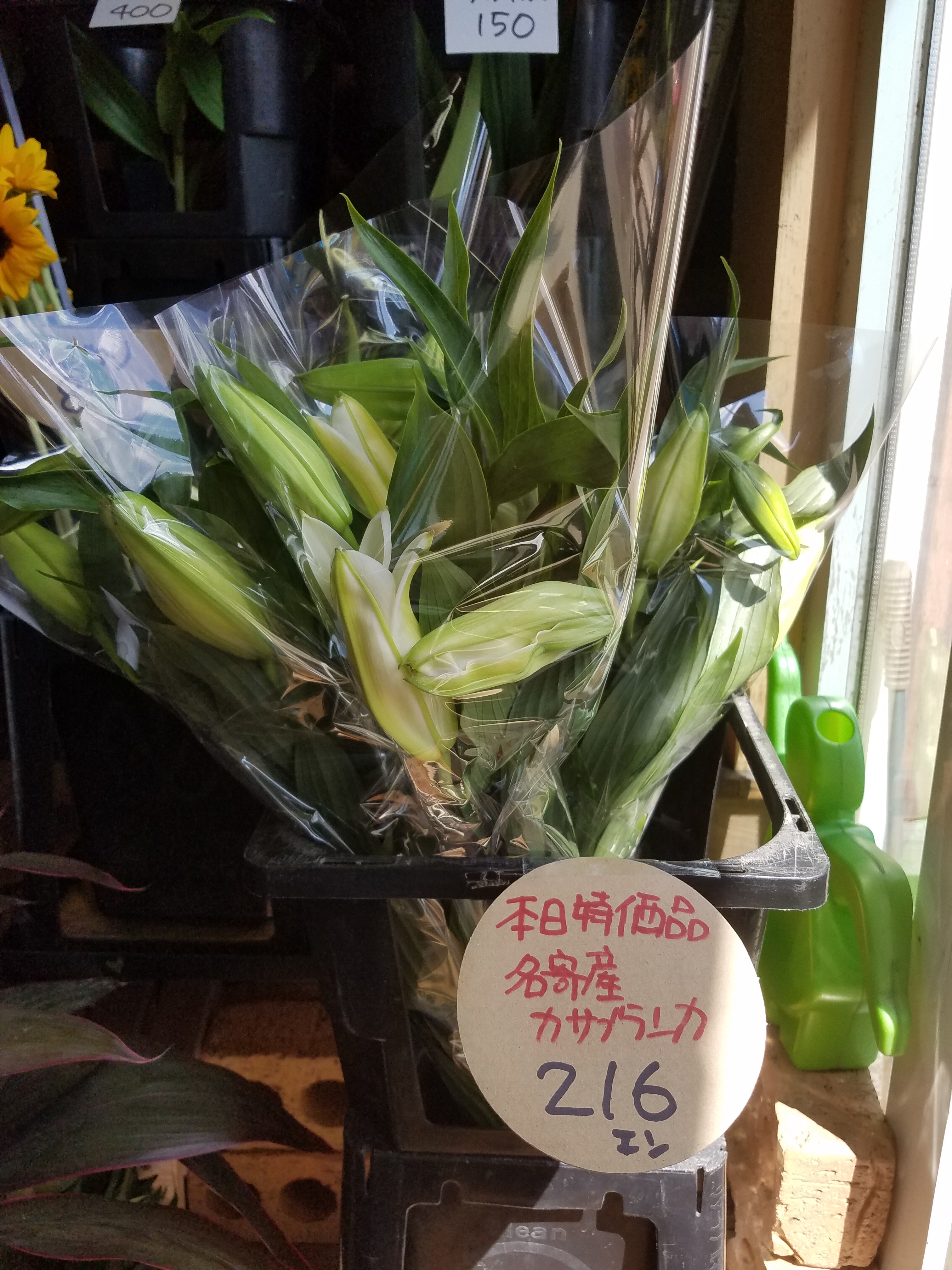 アップロードファイル 760-1.jpg