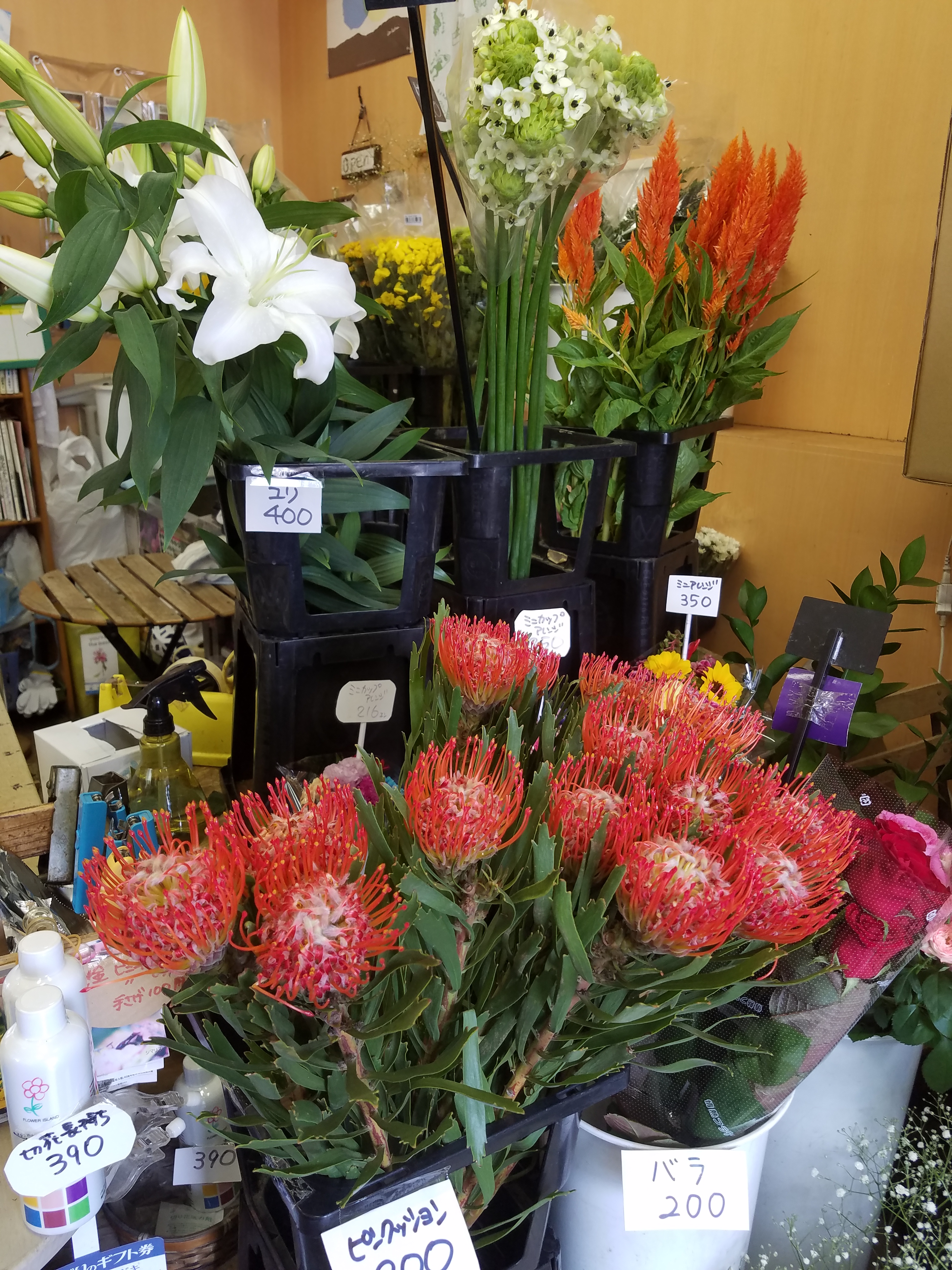 アップロードファイル 760-2.jpg