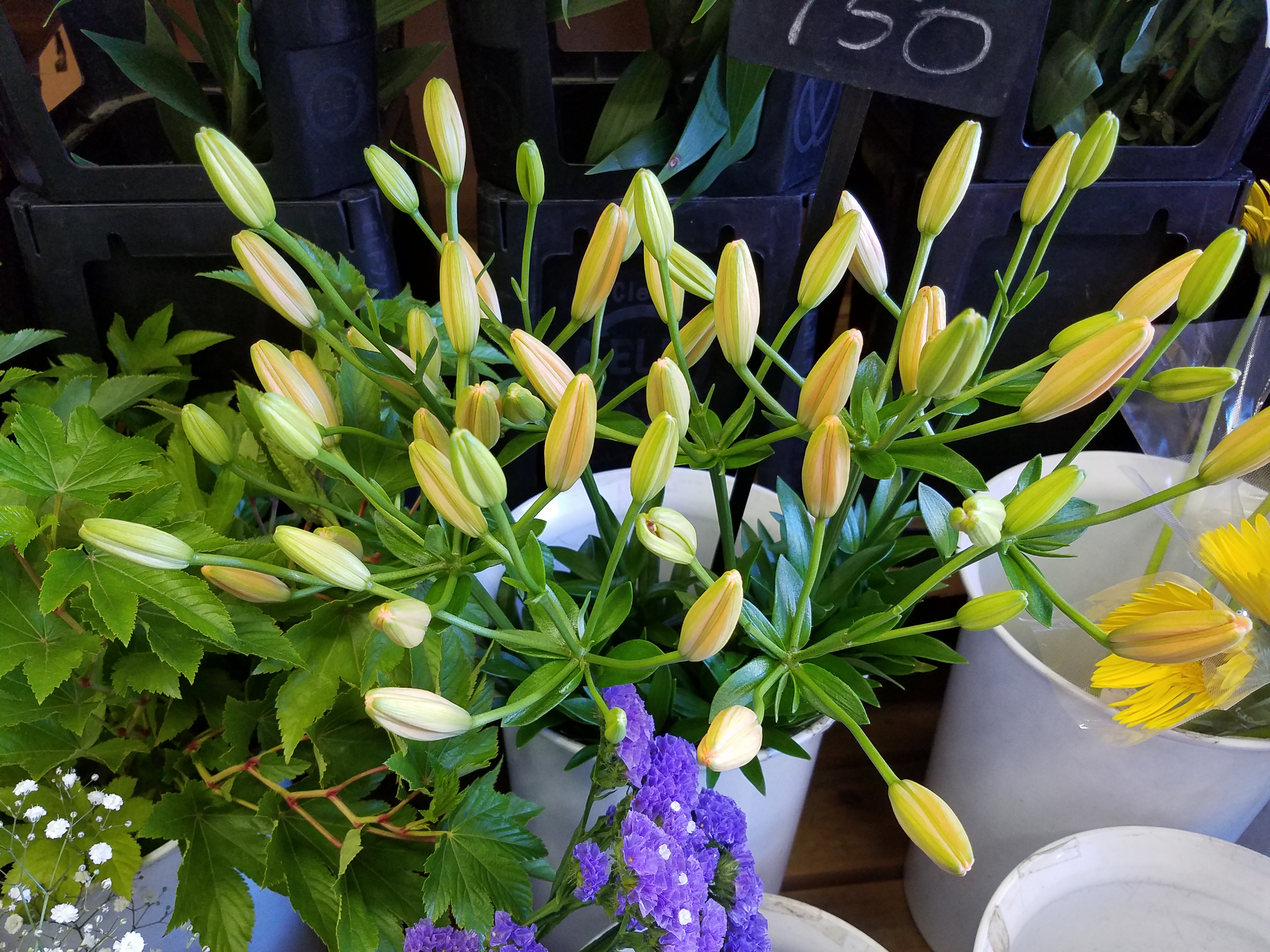 アップロードファイル 761-1.jpg