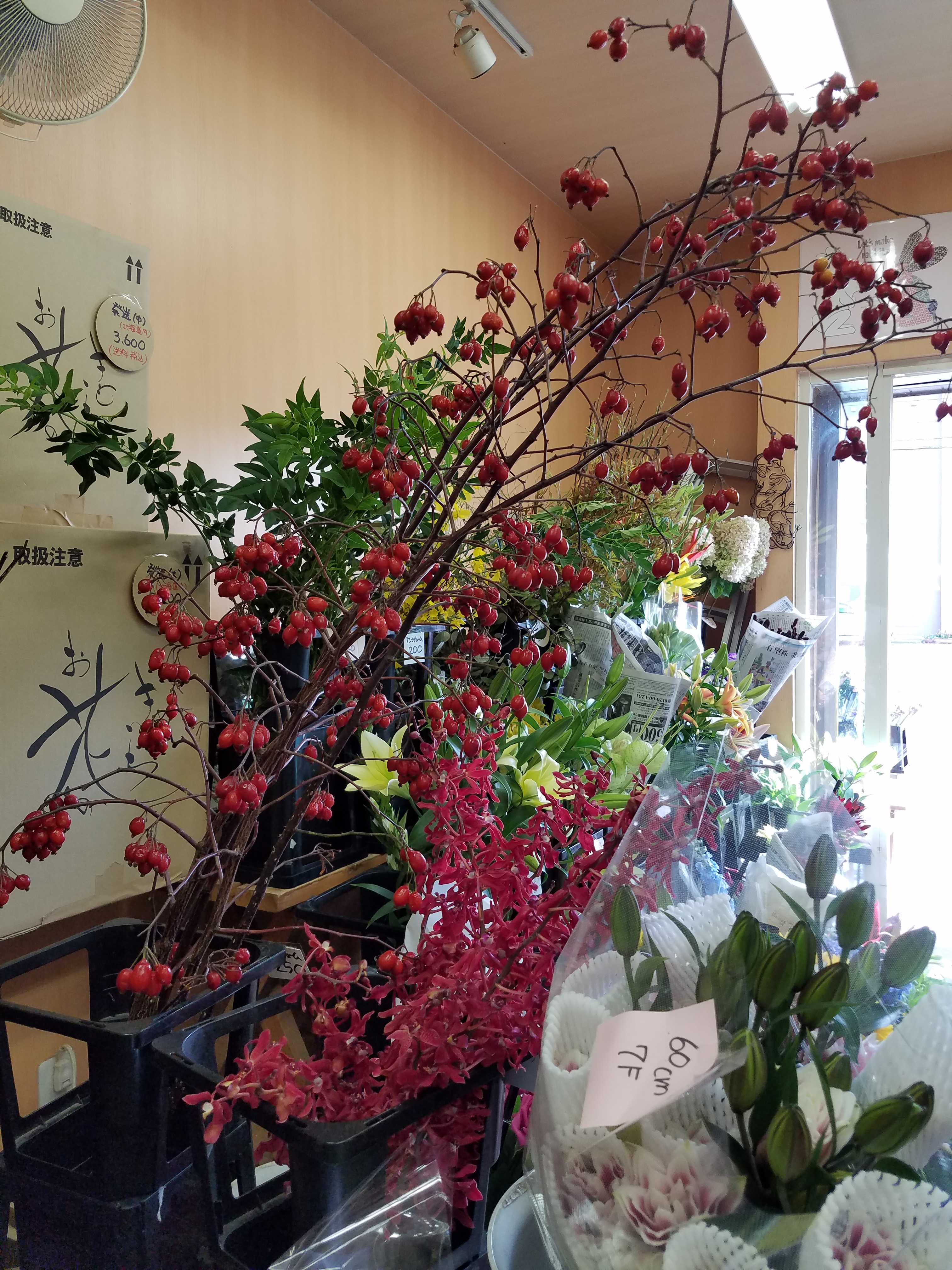 アップロードファイル 767-1.jpg