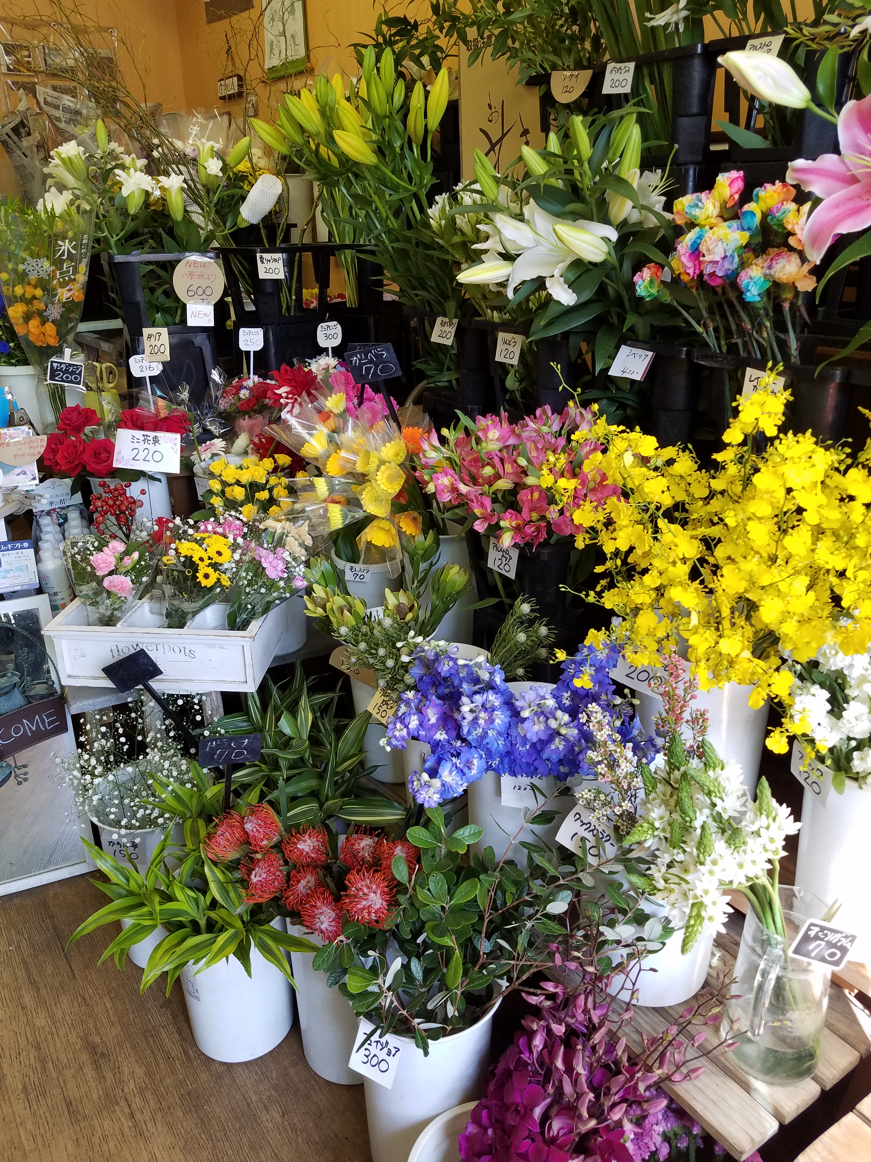 アップロードファイル 769-1.jpg