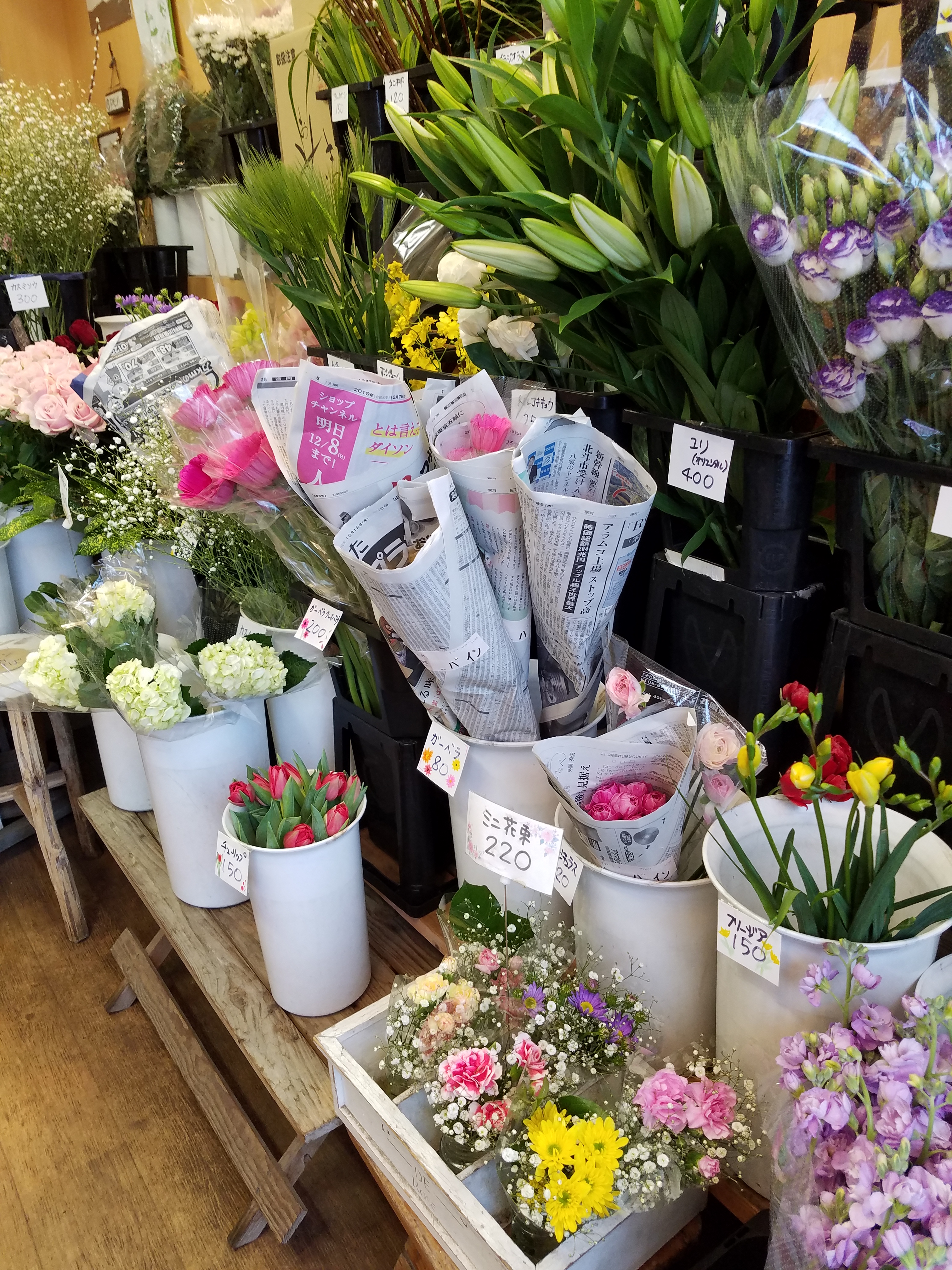 アップロードファイル 778-1.jpg