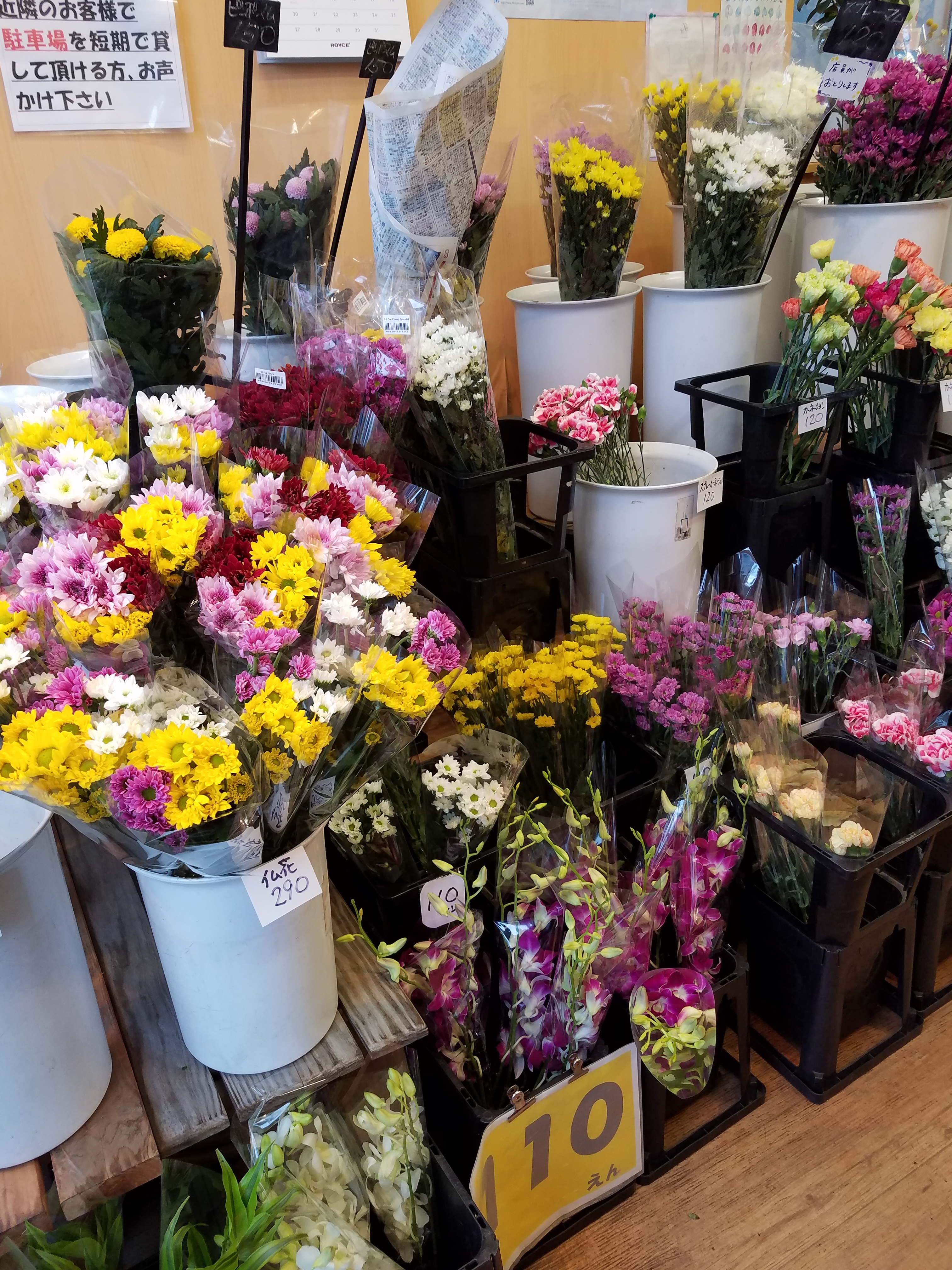 アップロードファイル 778-2.jpg