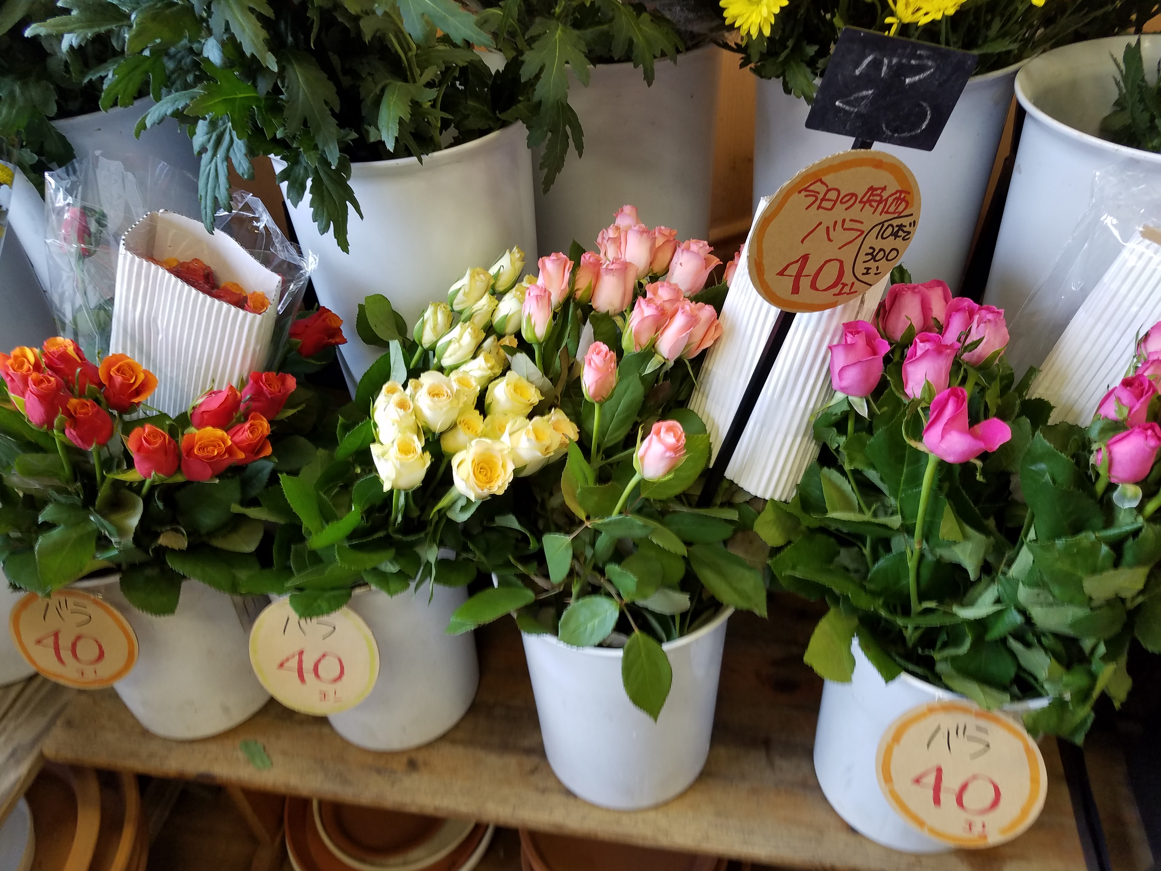 アップロードファイル 779-1.jpg