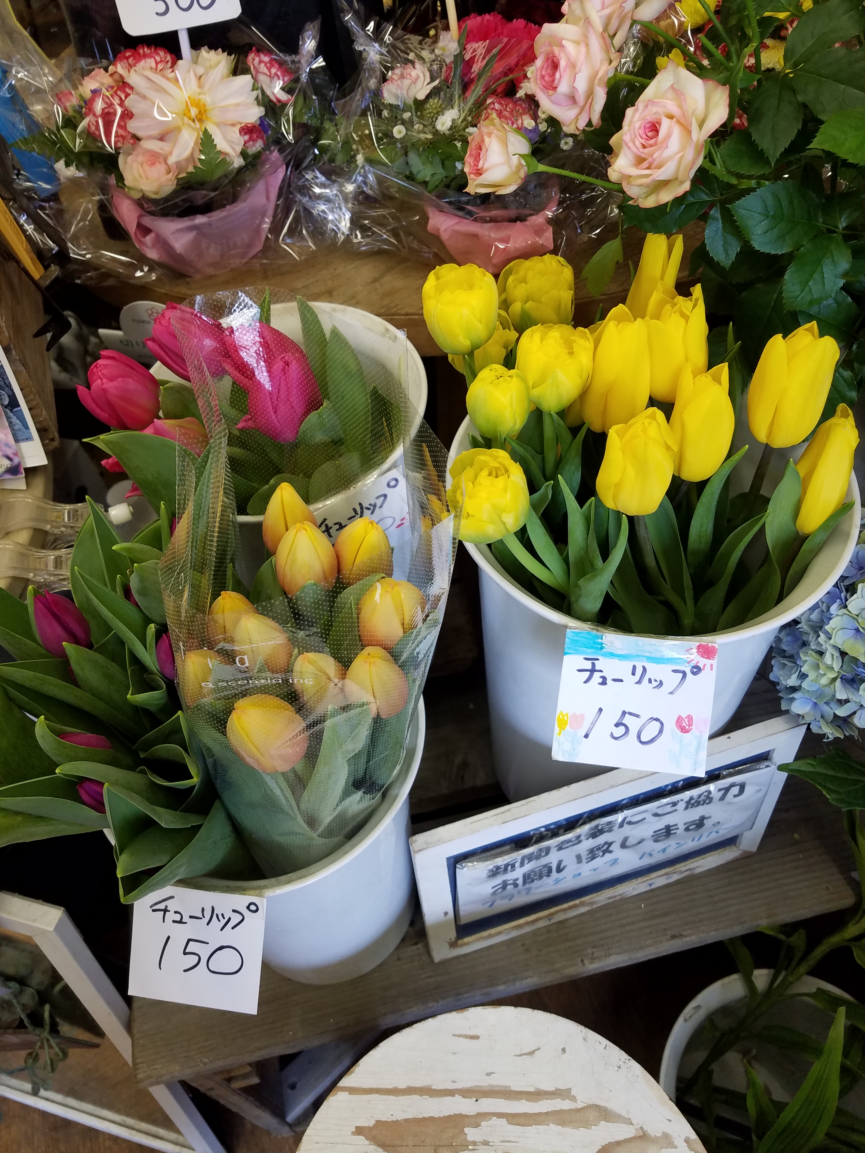 アップロードファイル 781-1.jpg