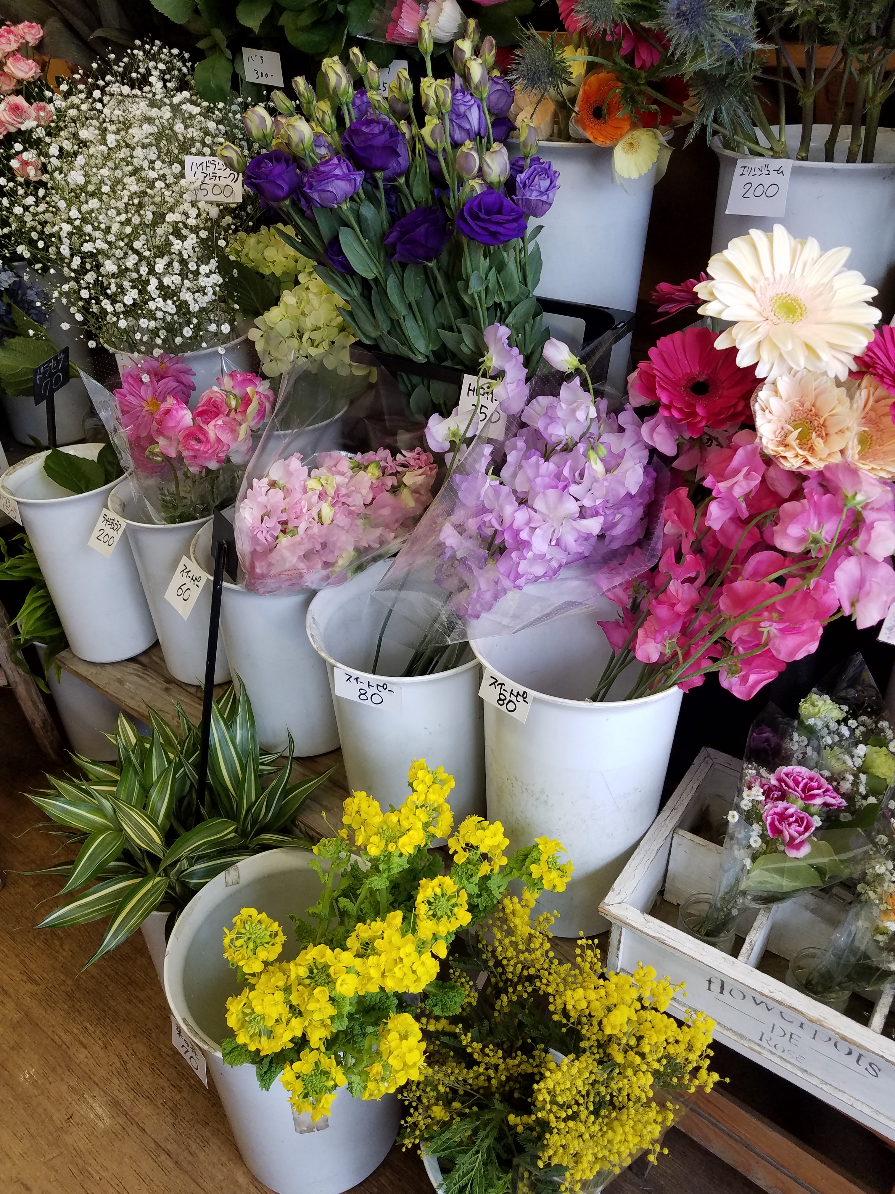 アップロードファイル 781-2.jpg