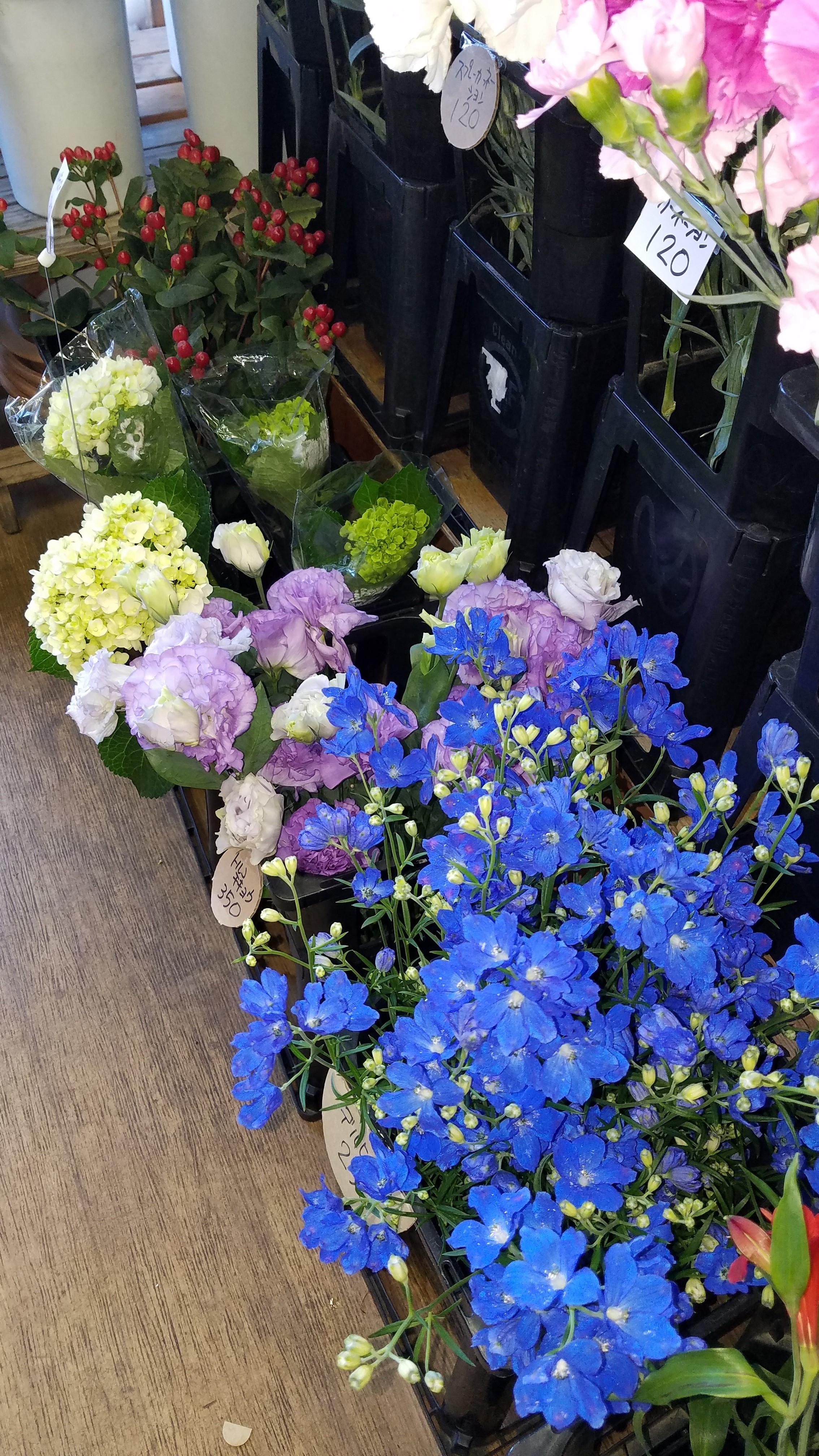 アップロードファイル 788-2.jpg