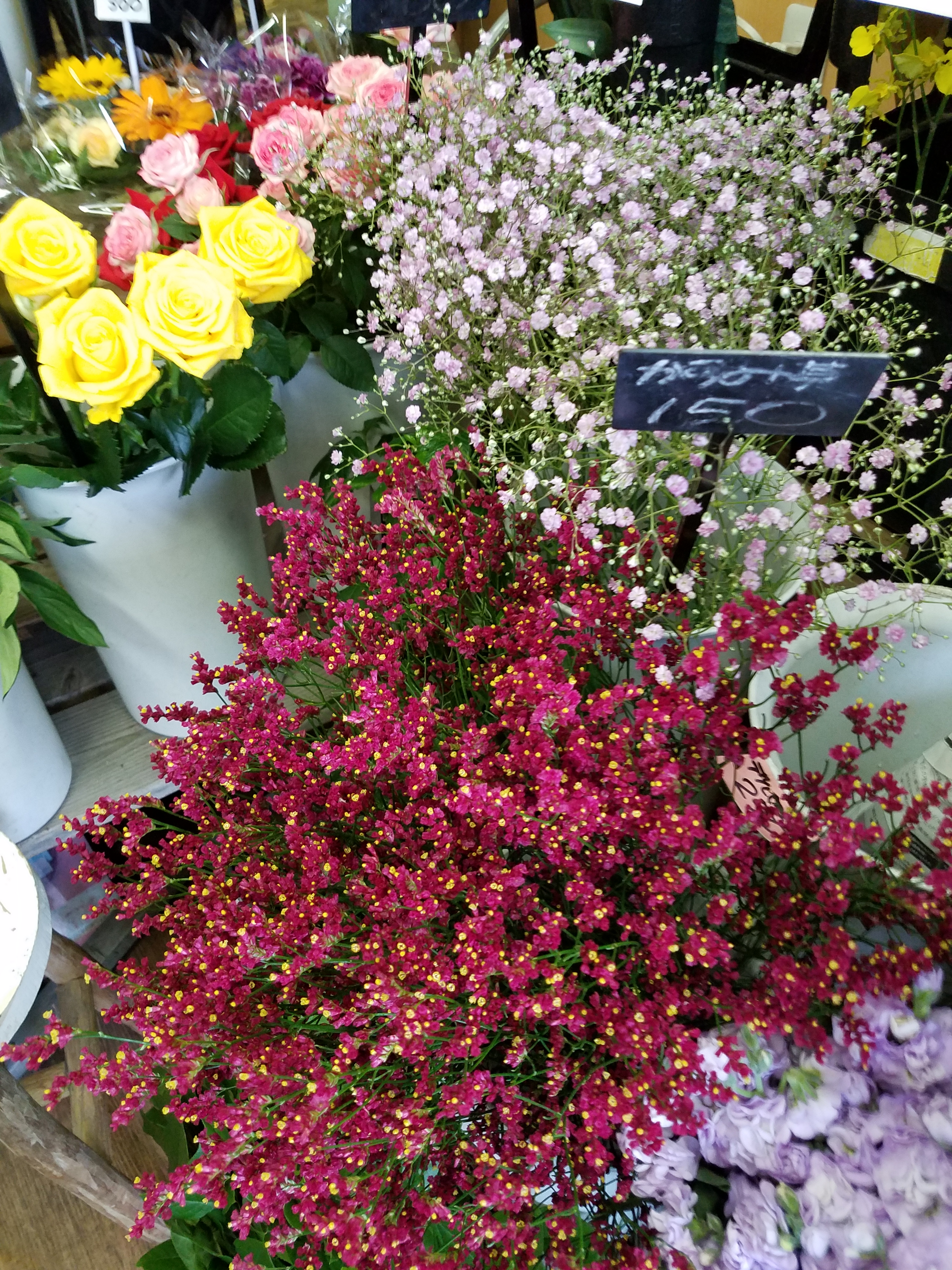 アップロードファイル 800-1.jpg