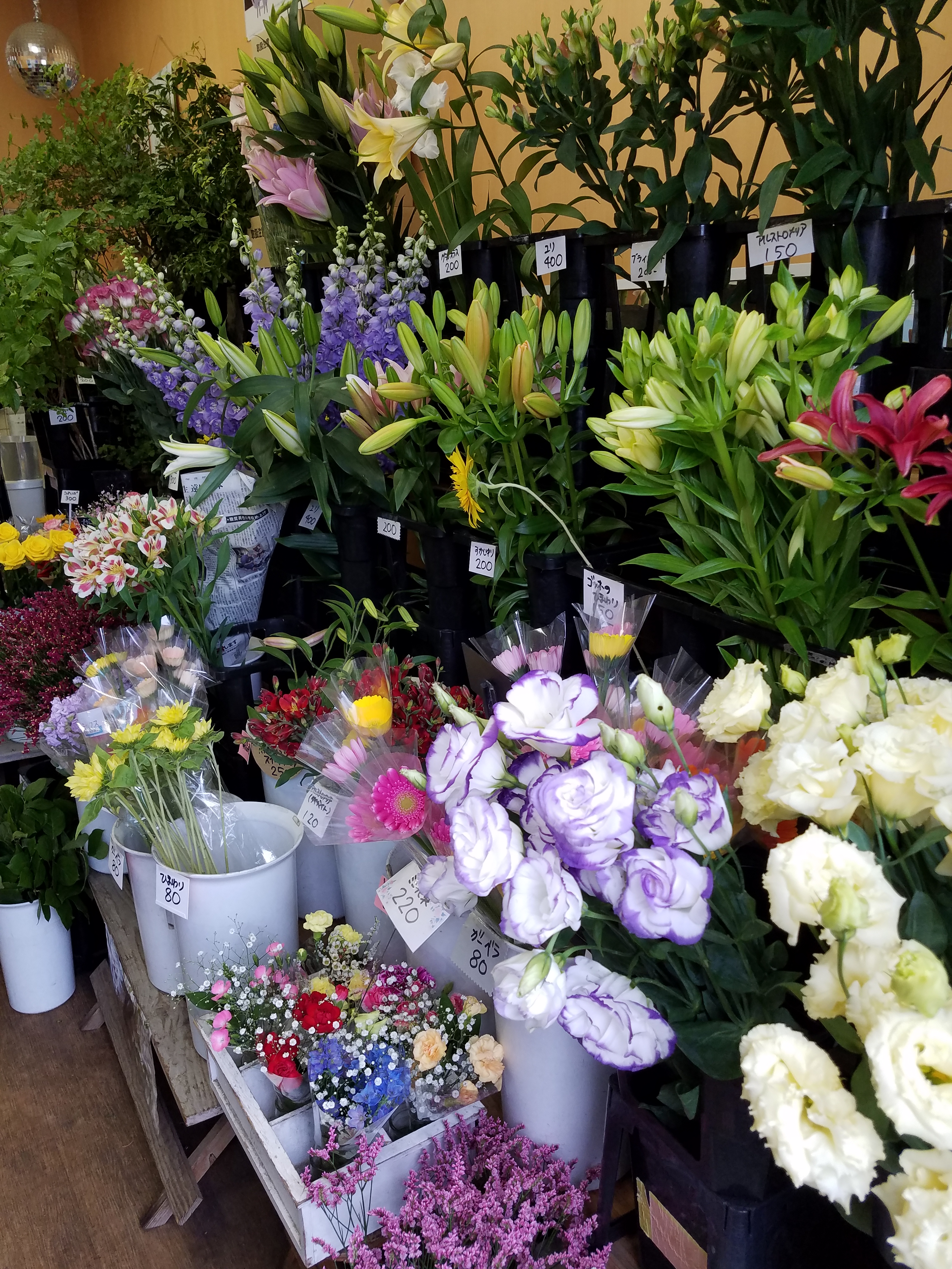 アップロードファイル 800-2.jpg