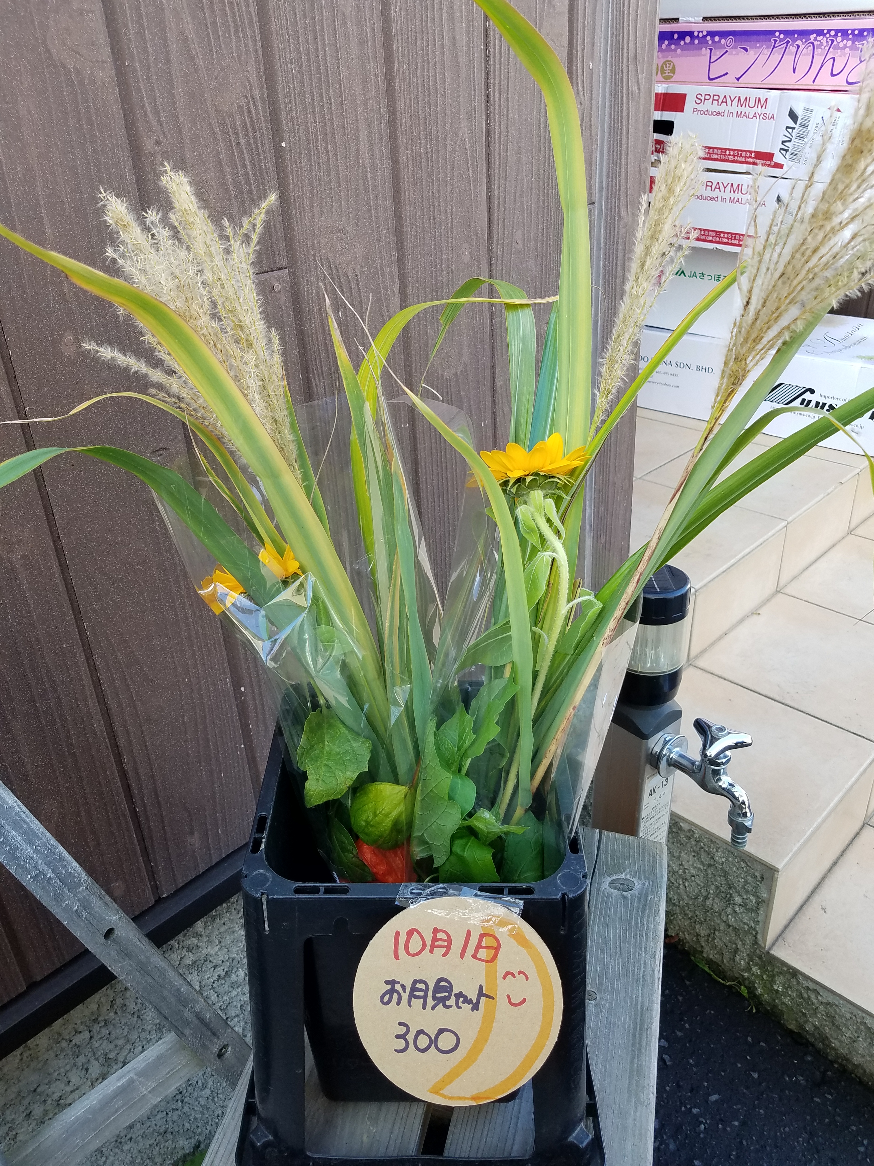 アップロードファイル 808-1.jpg