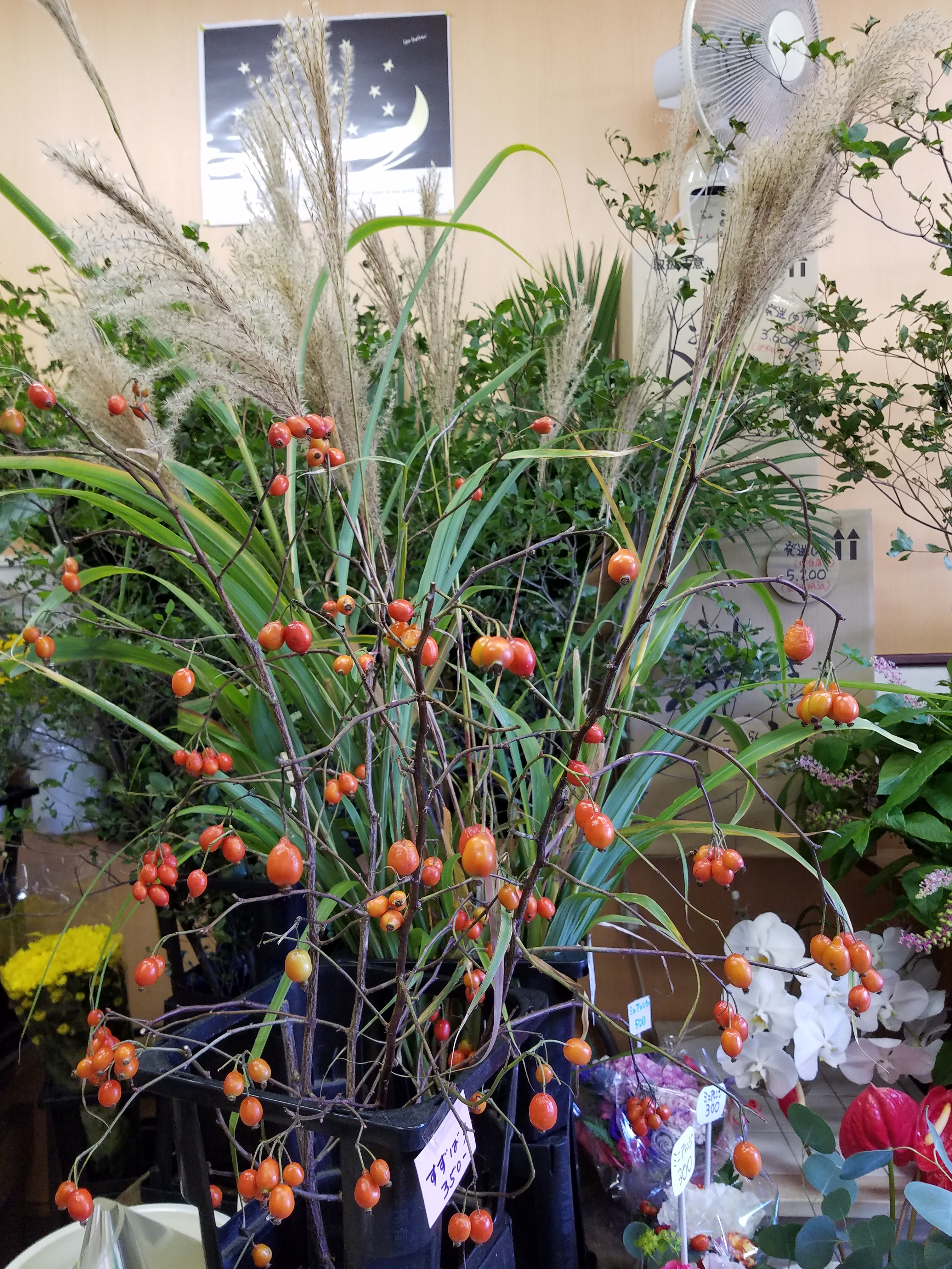 アップロードファイル 808-2.jpg