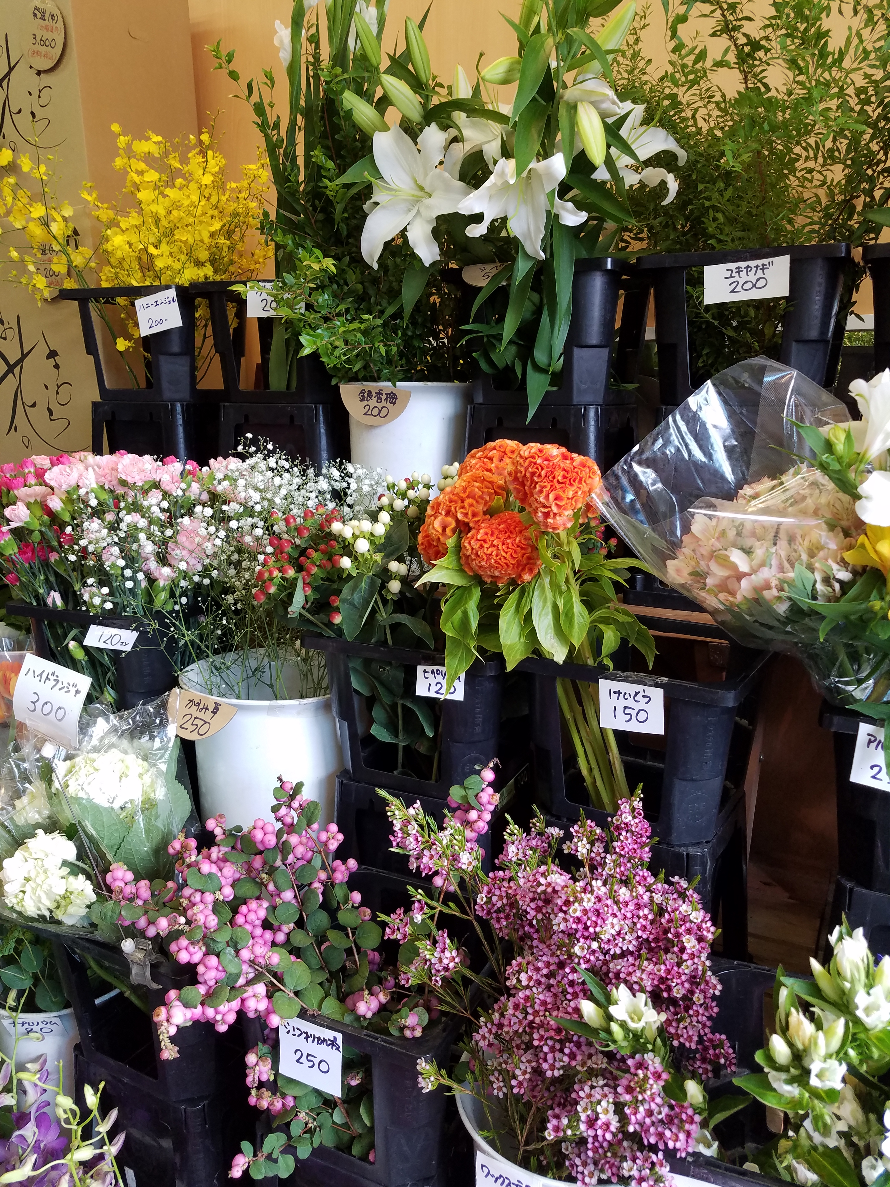 アップロードファイル 810-1.jpg