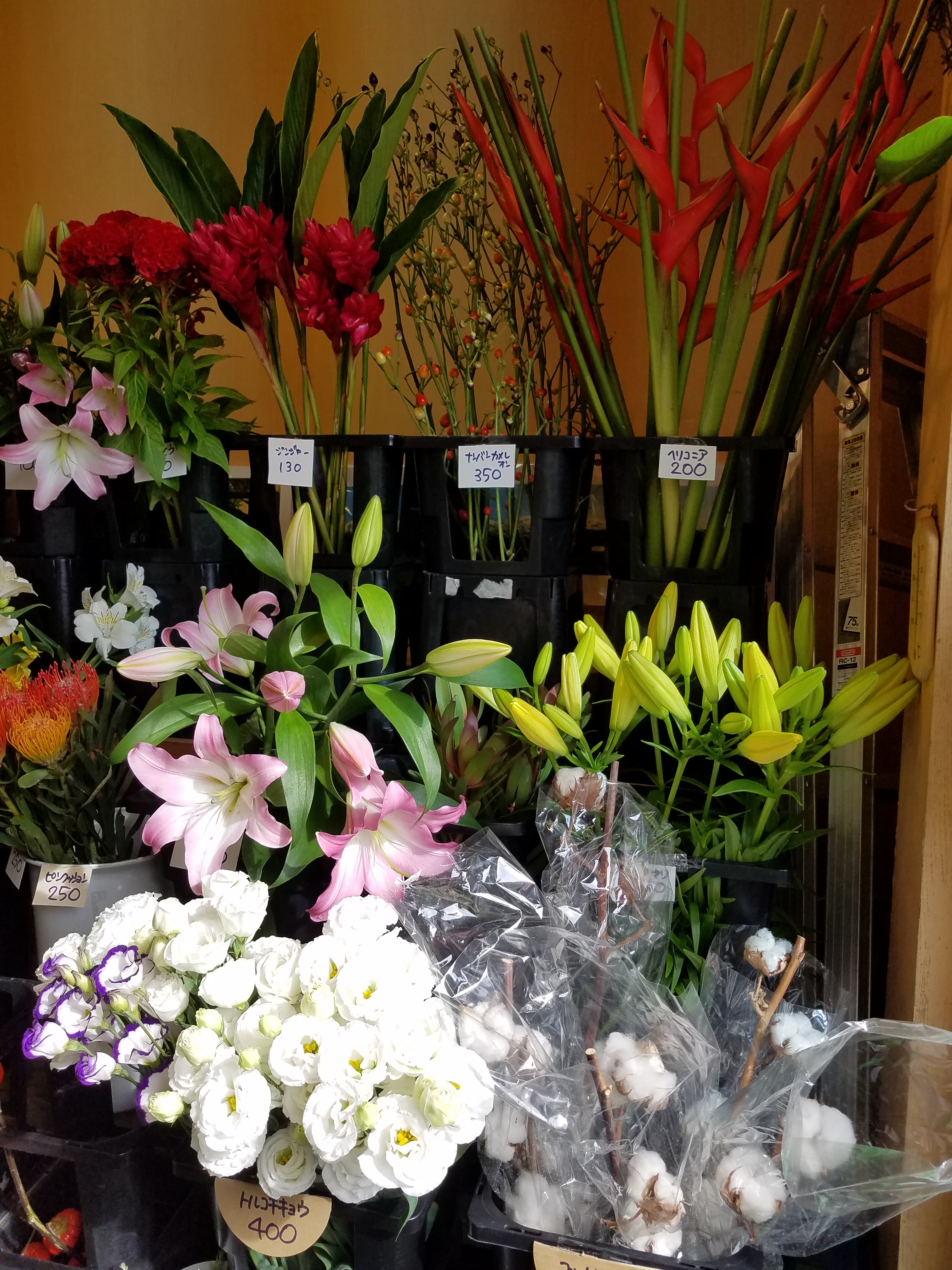 アップロードファイル 810-2.jpg