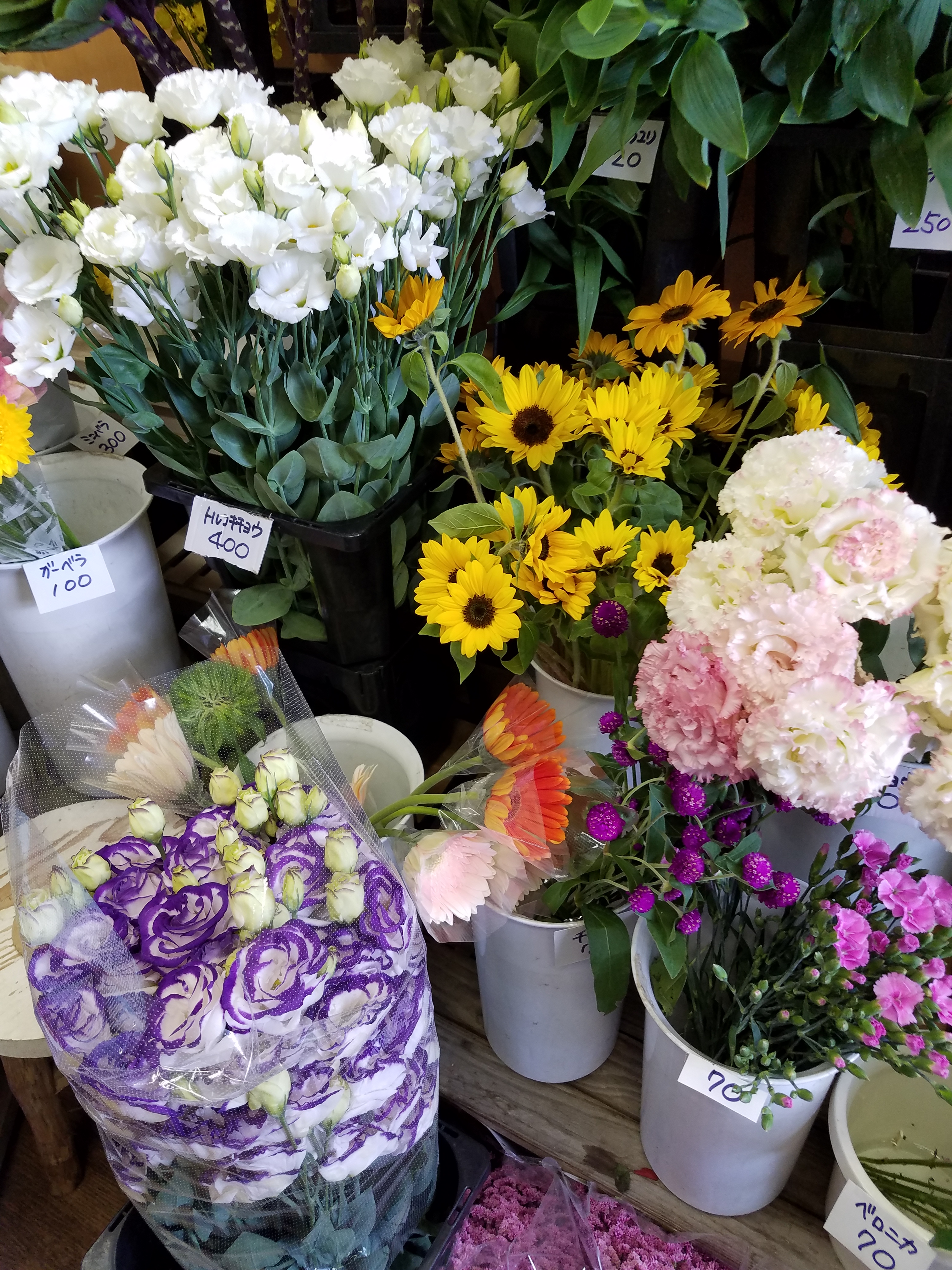 アップロードファイル 811-1.jpg