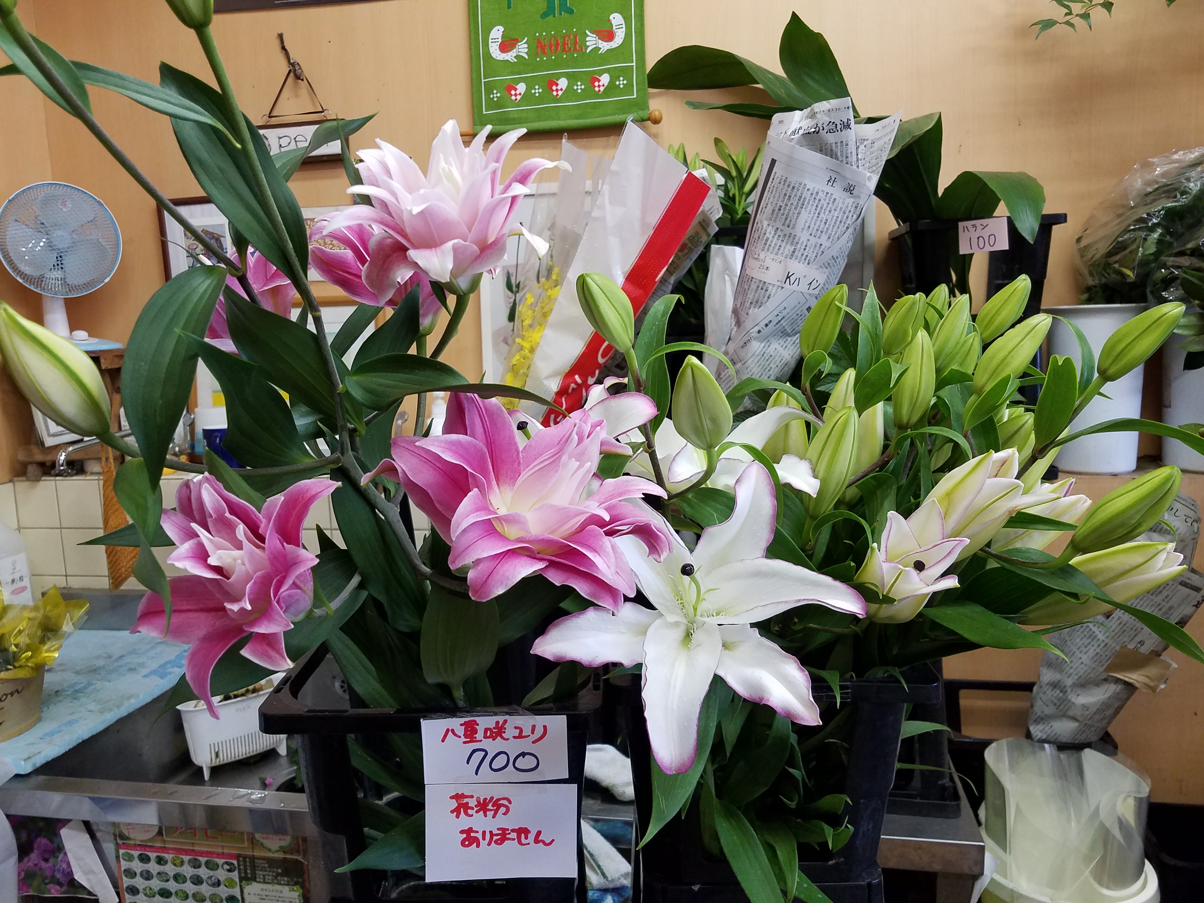 アップロードファイル 813-1.jpg