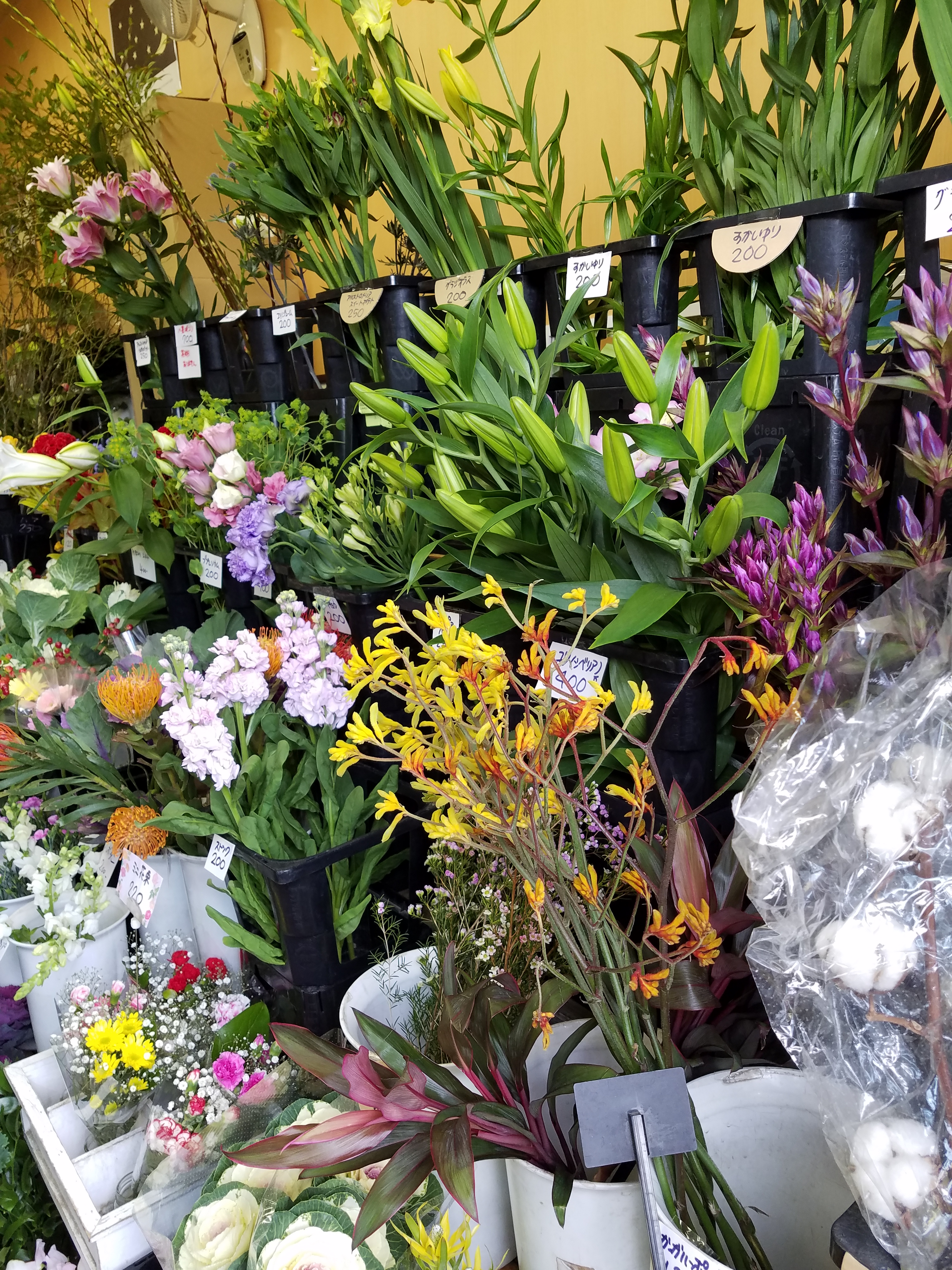 アップロードファイル 813-2.jpg