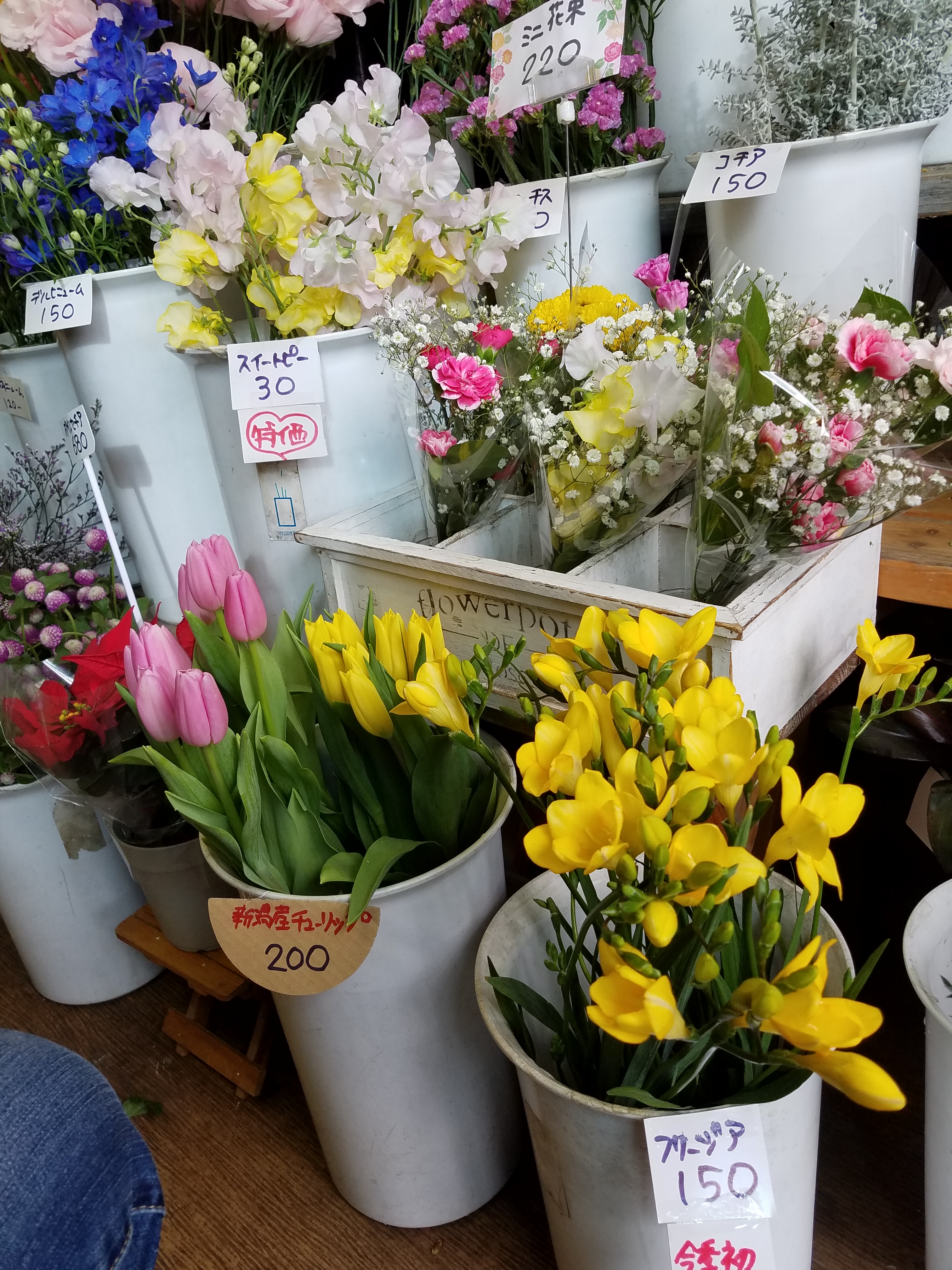 アップロードファイル 815-1.jpg