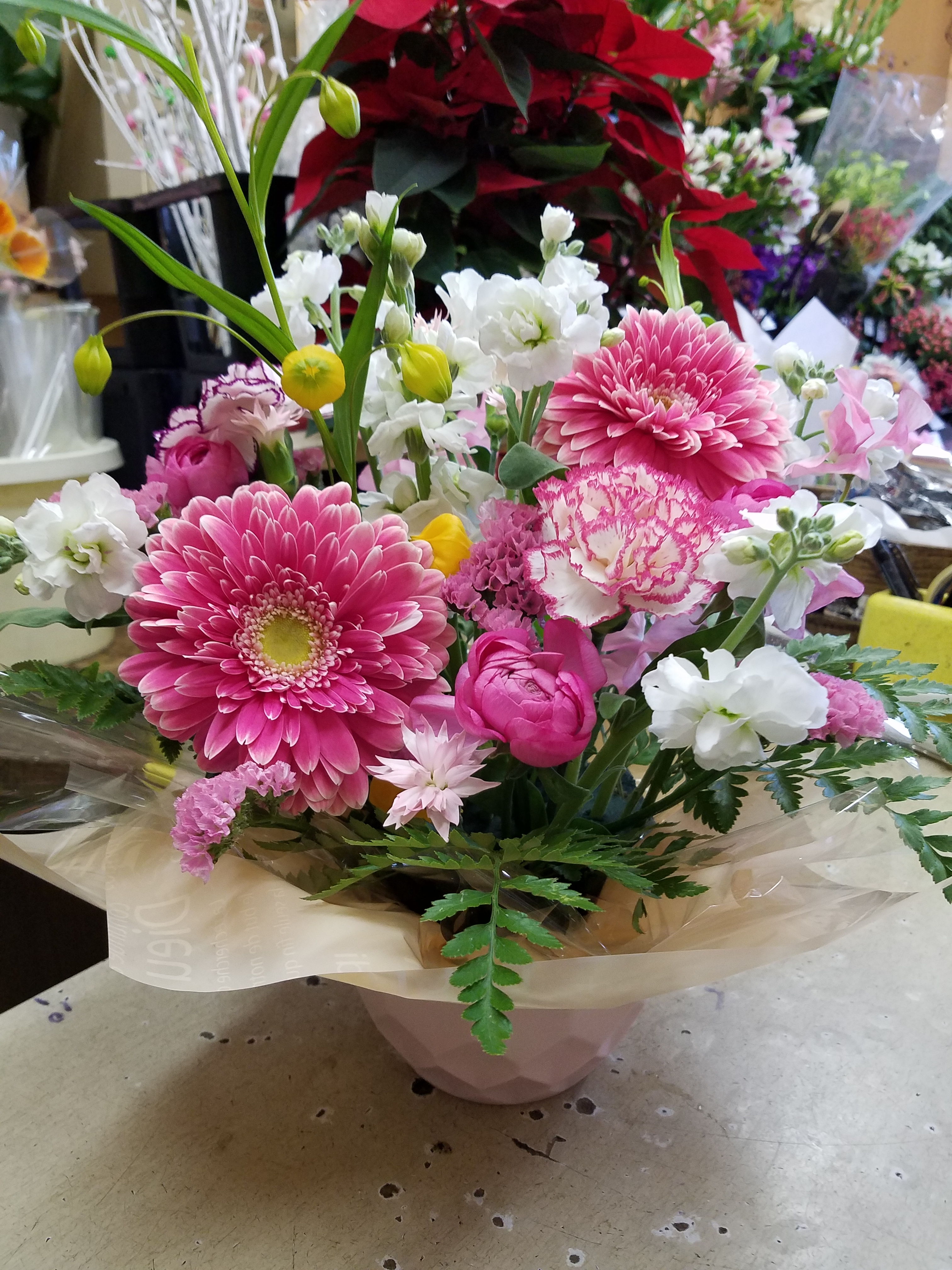 アップロードファイル 817-1.jpg