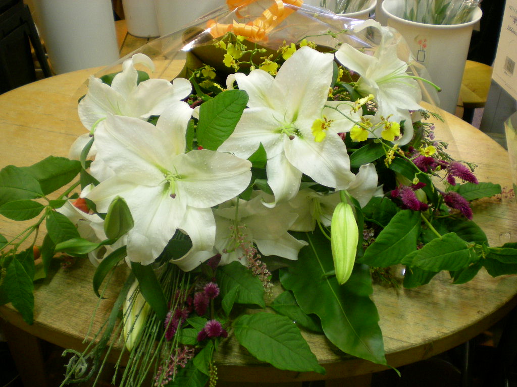 アップロードファイル 82-1.jpg