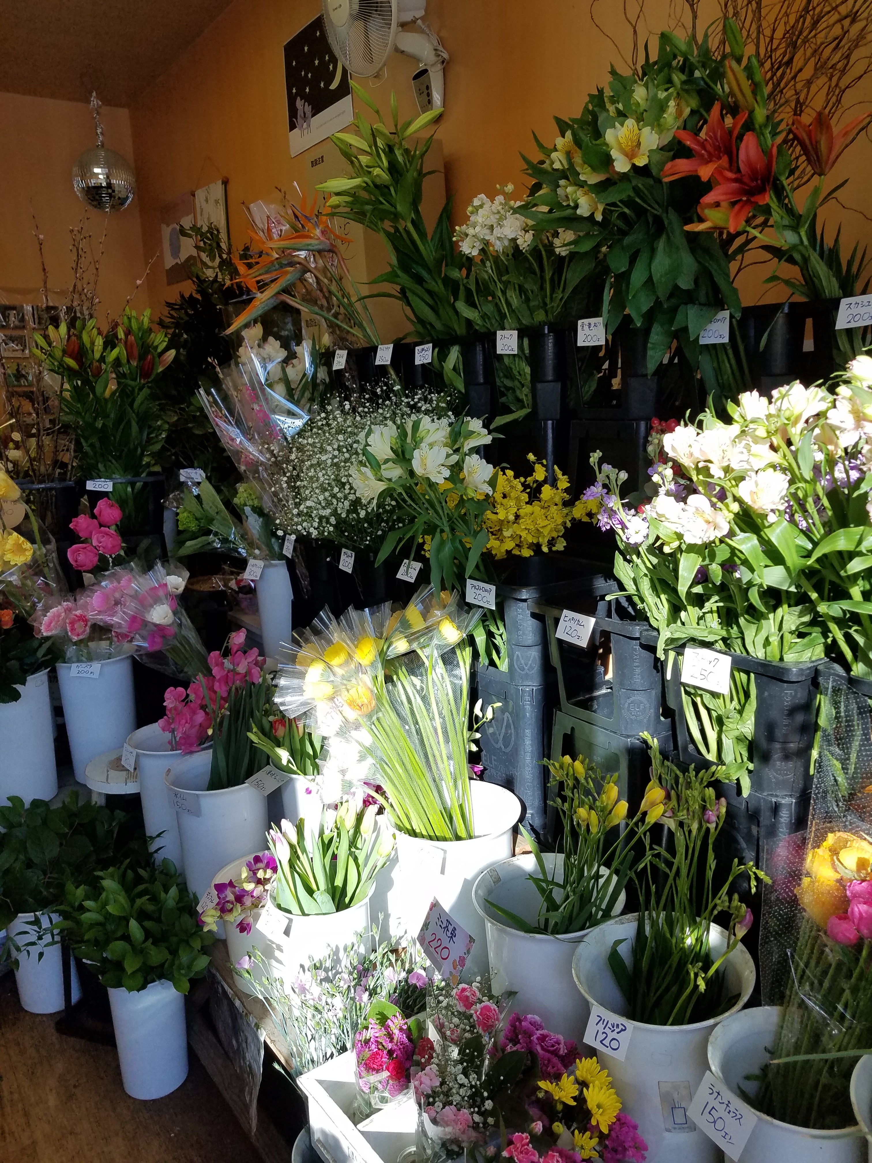 アップロードファイル 821-1.jpg