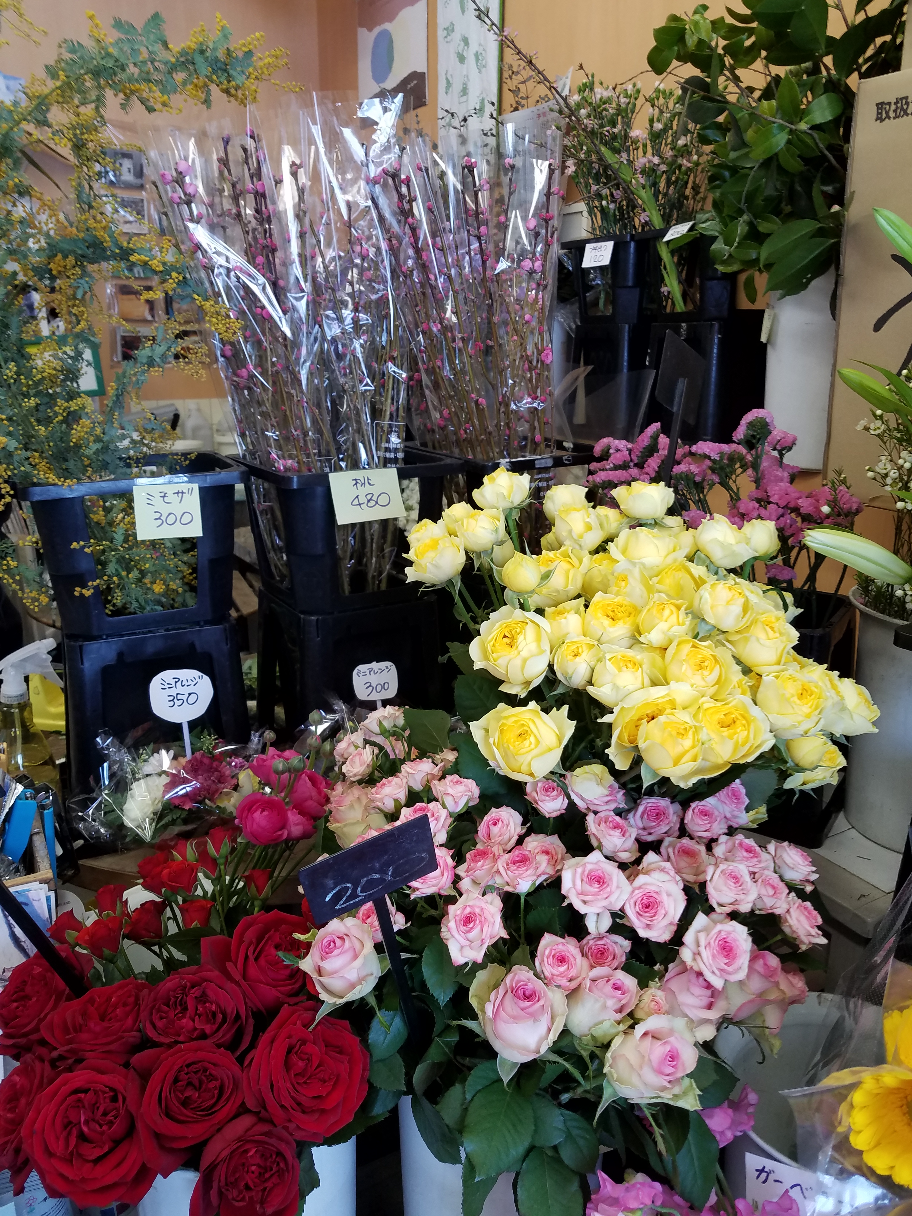 アップロードファイル 826-1.jpg