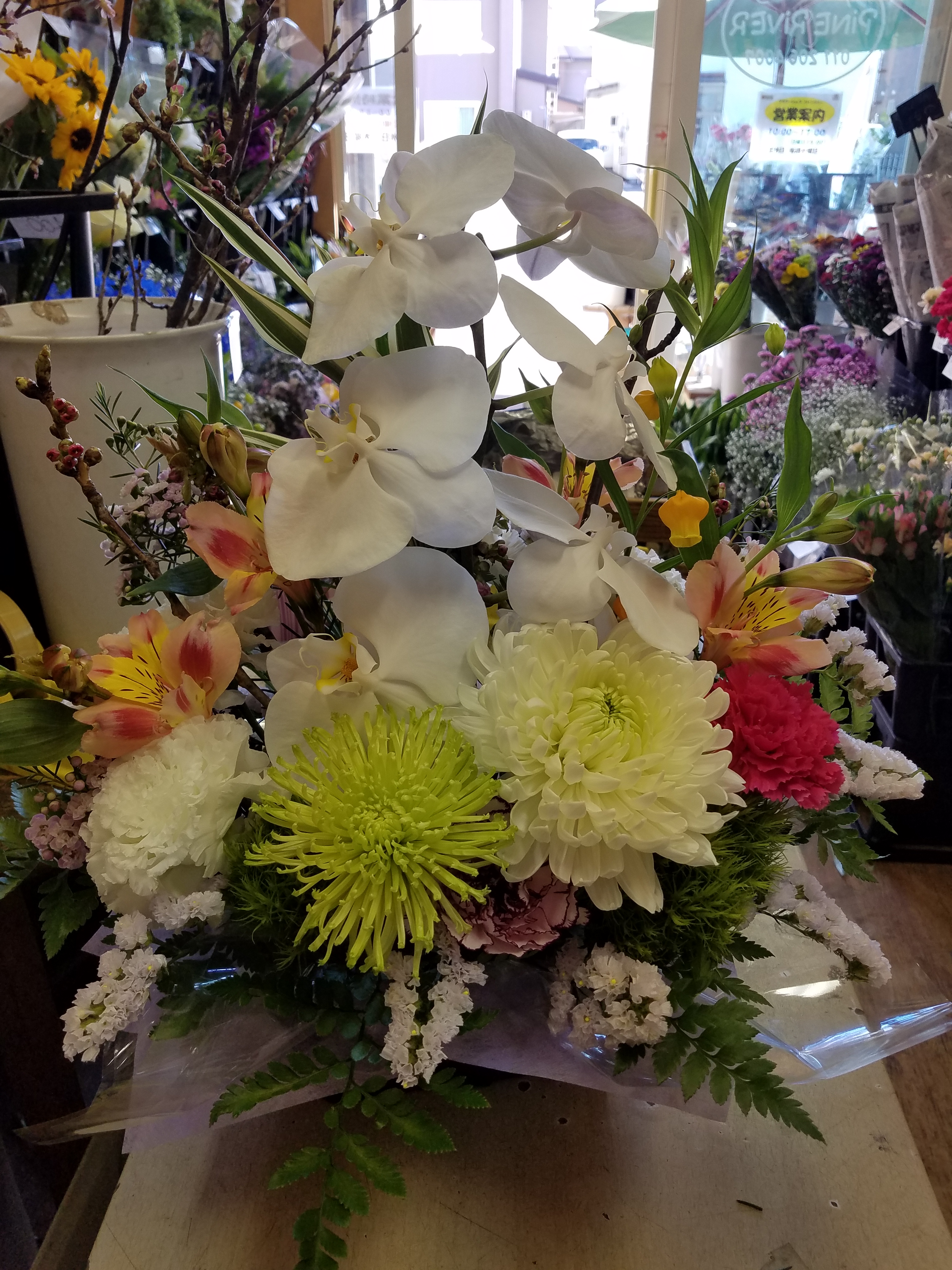 アップロードファイル 833-1.jpg