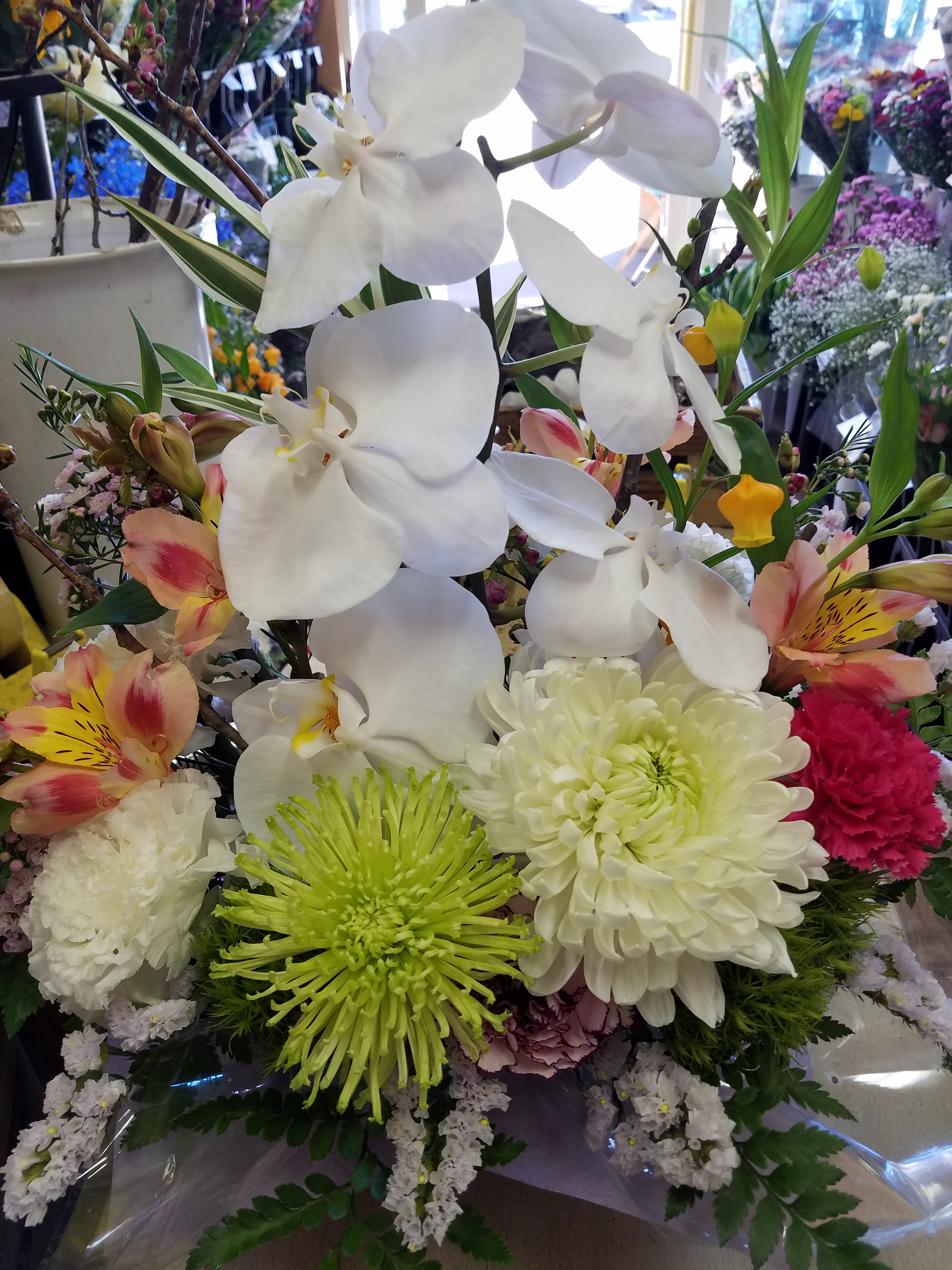 アップロードファイル 833-2.jpg