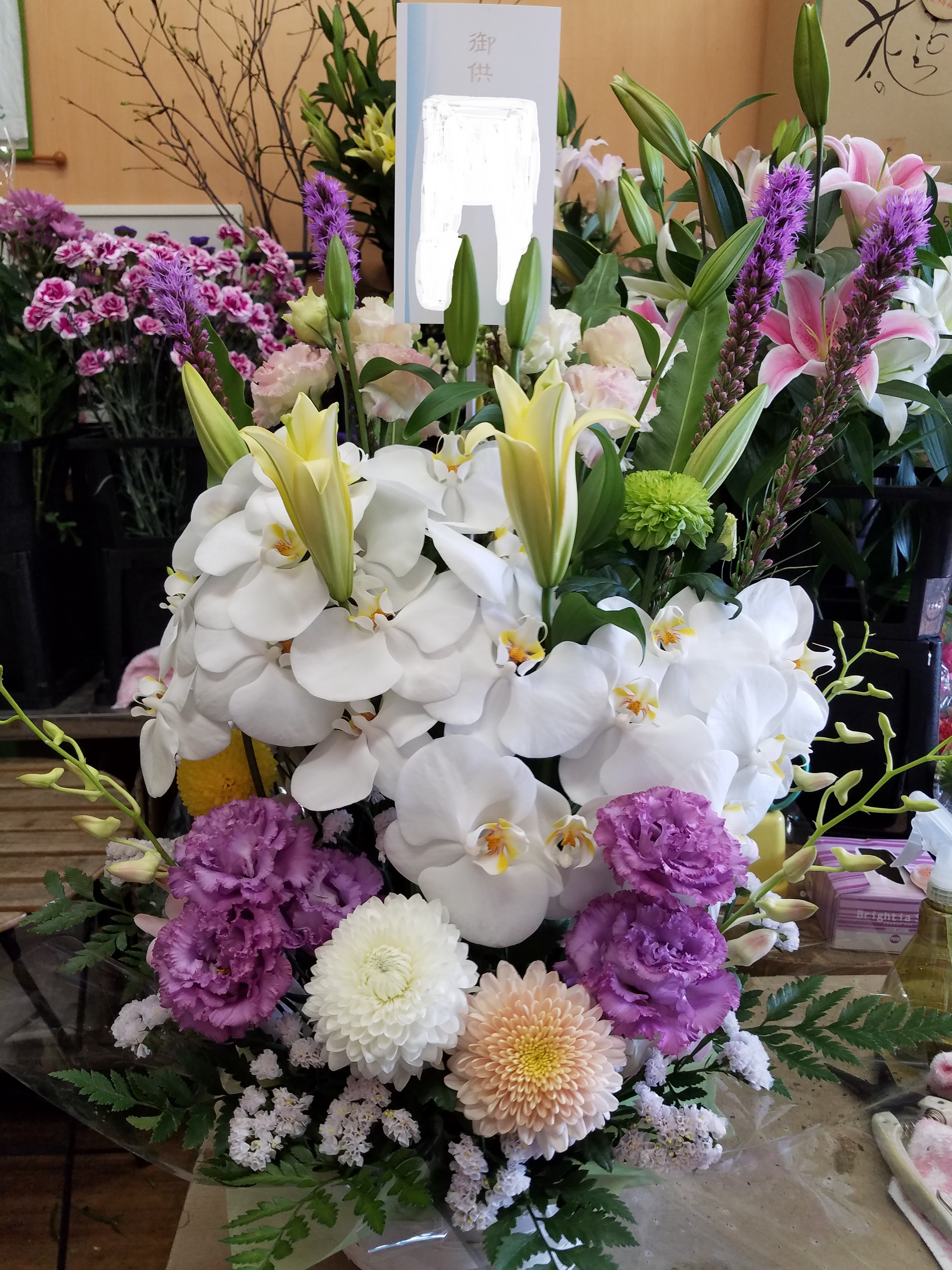 アップロードファイル 838-1.jpg