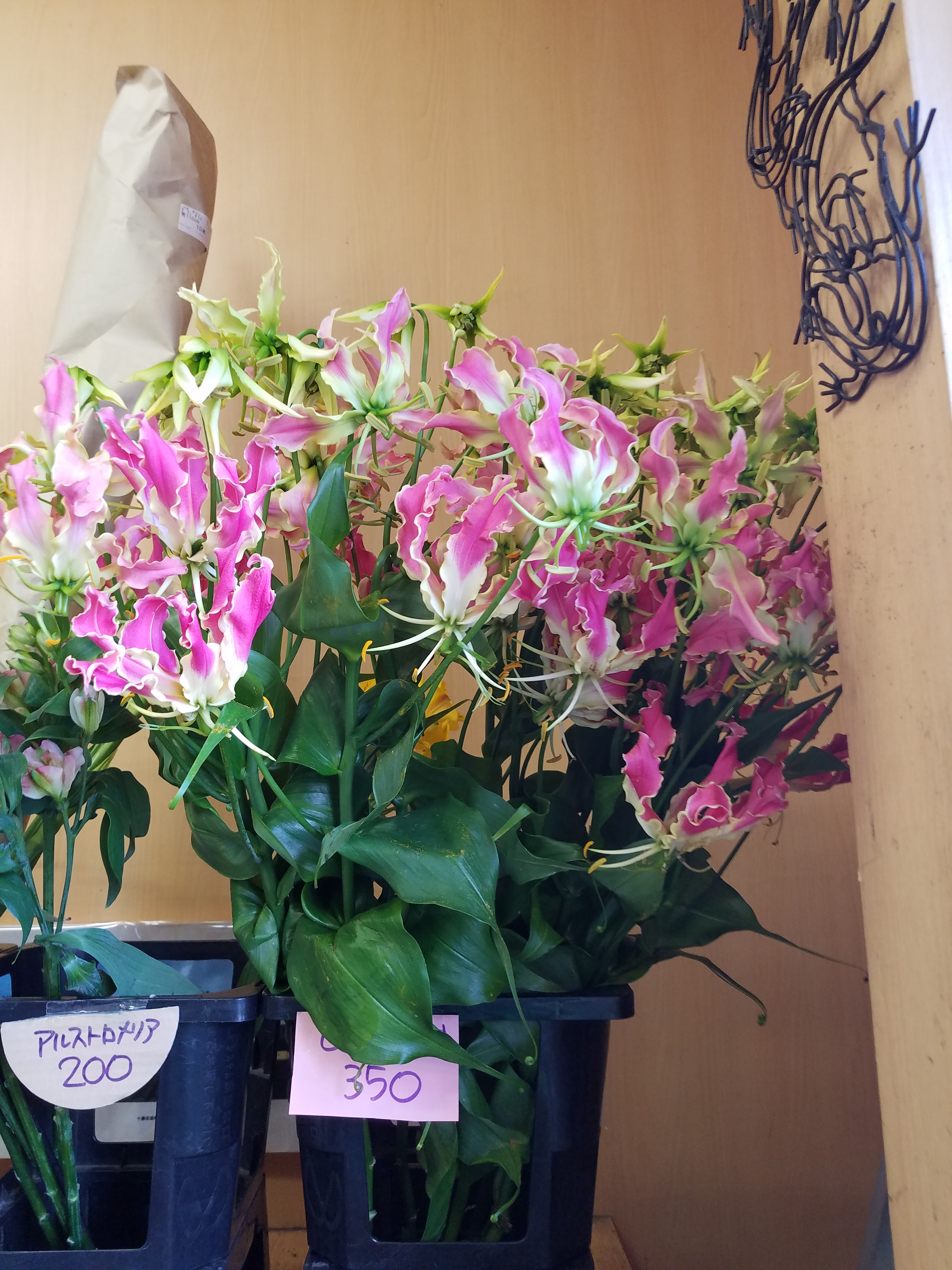 アップロードファイル 839-1.jpg