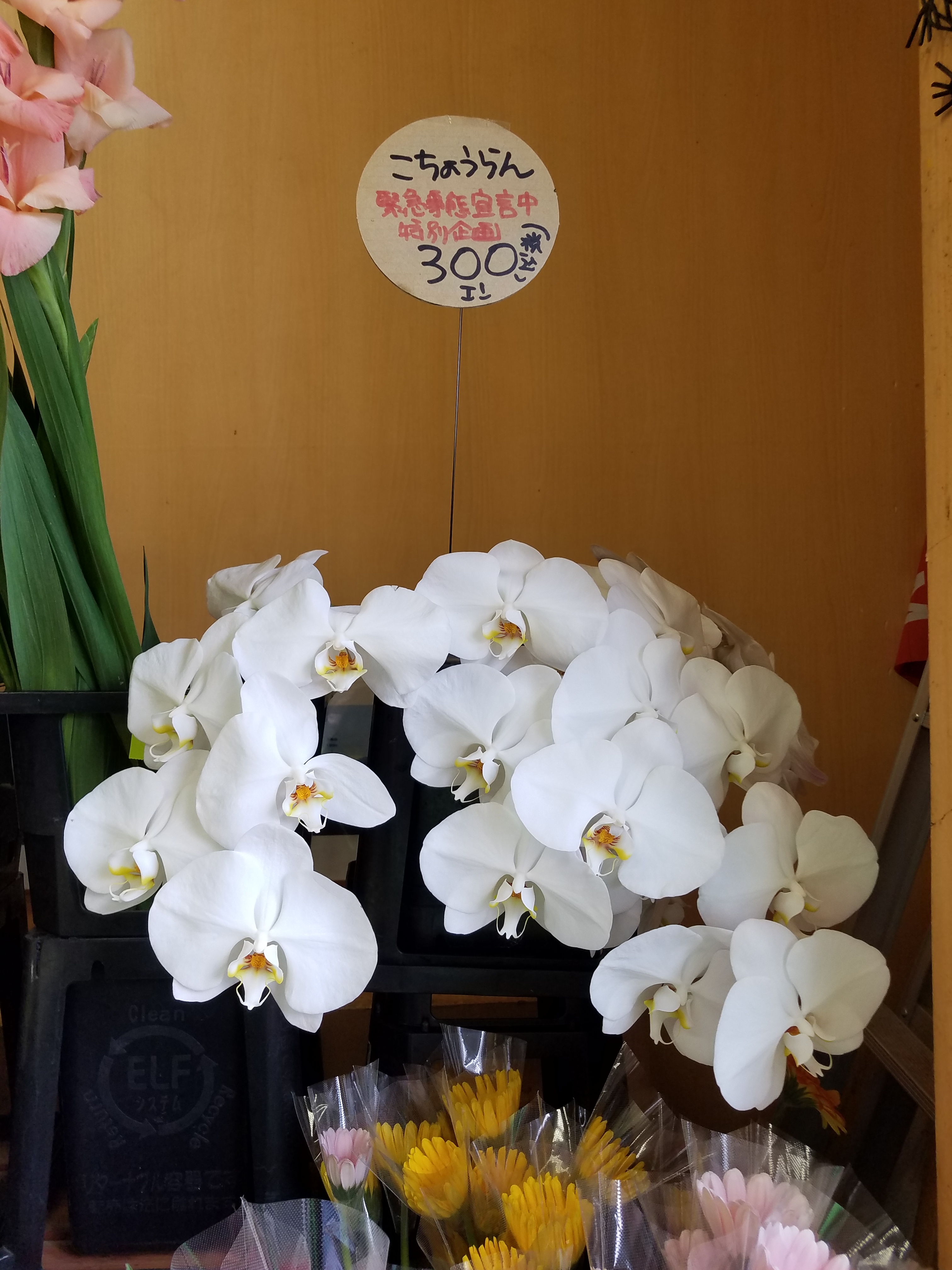 アップロードファイル 840-1.jpg