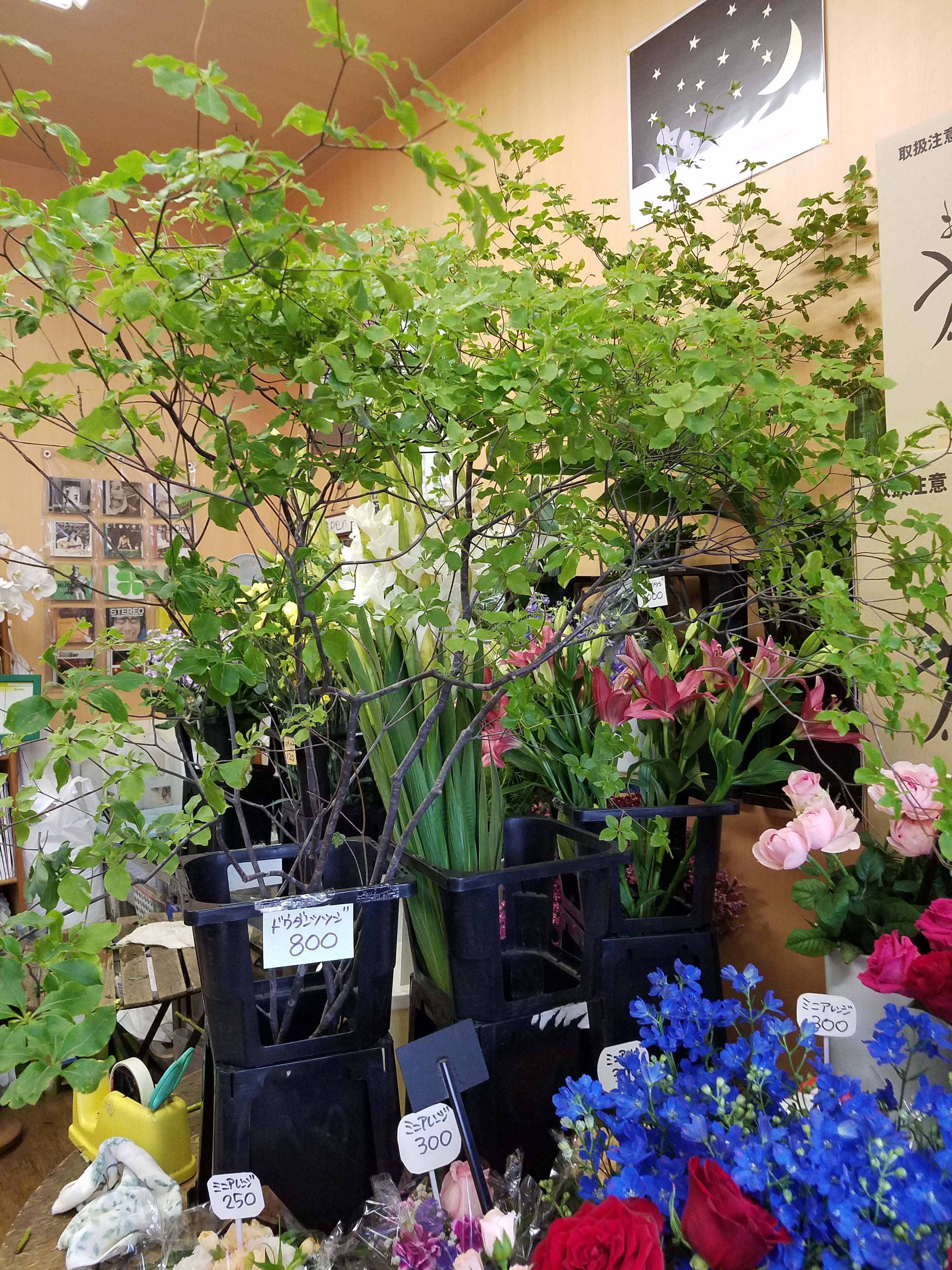 アップロードファイル 841-1.jpg