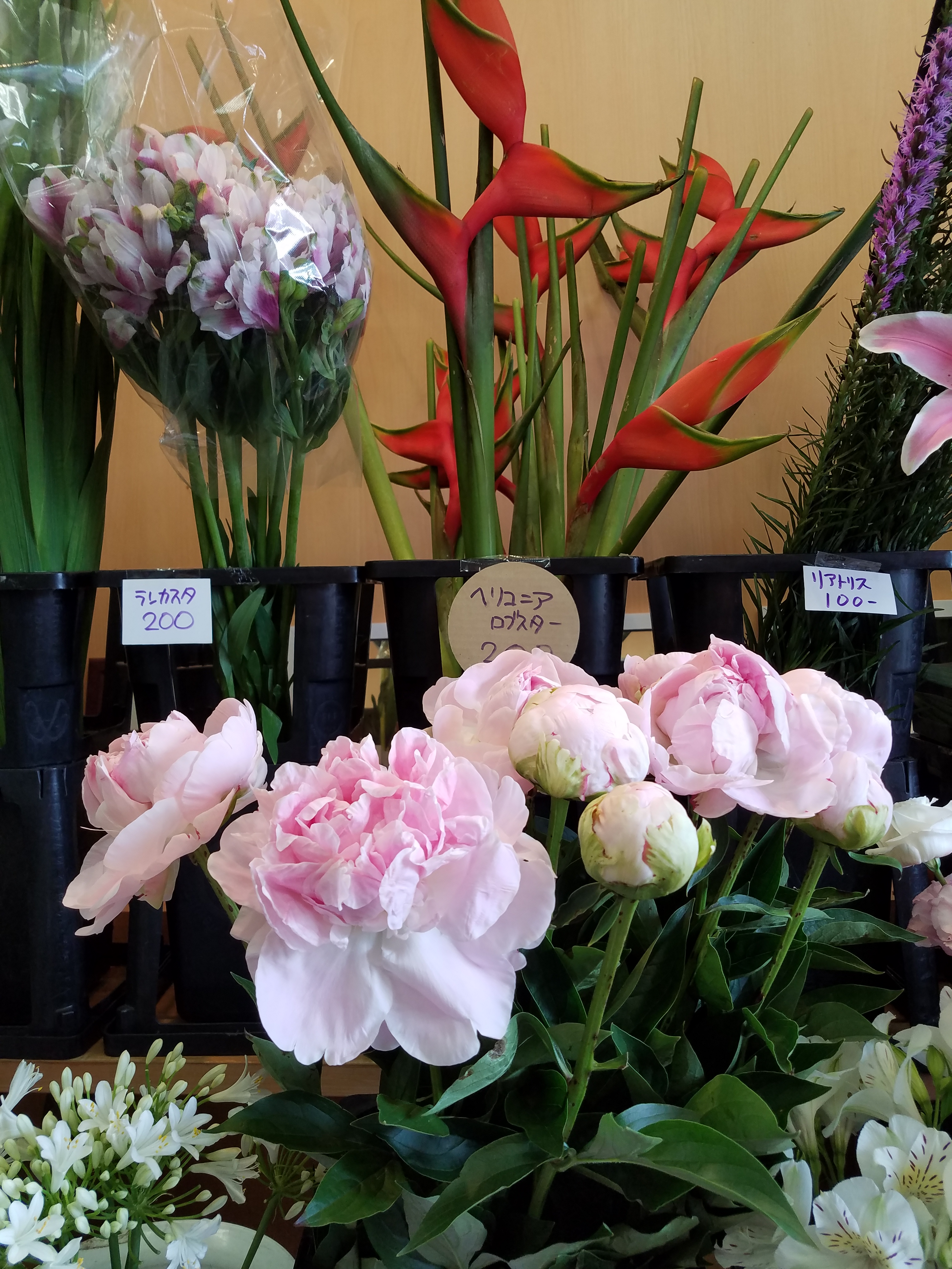 アップロードファイル 843-1.jpg